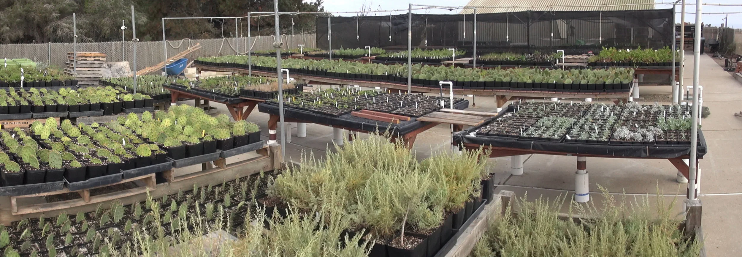 nursery.jpg