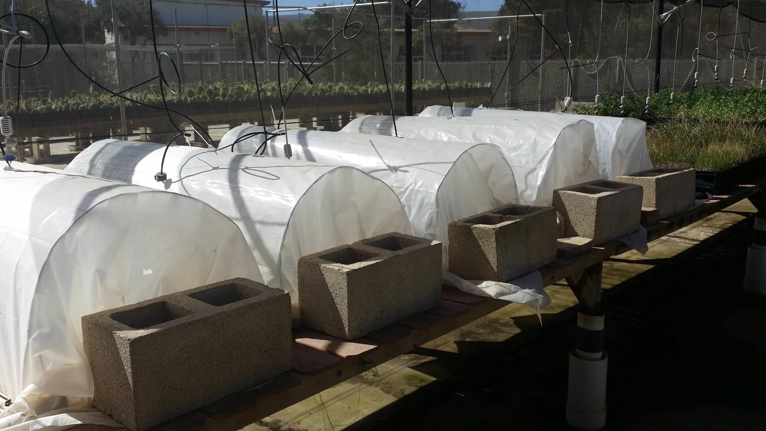 20141022_113855.jpg