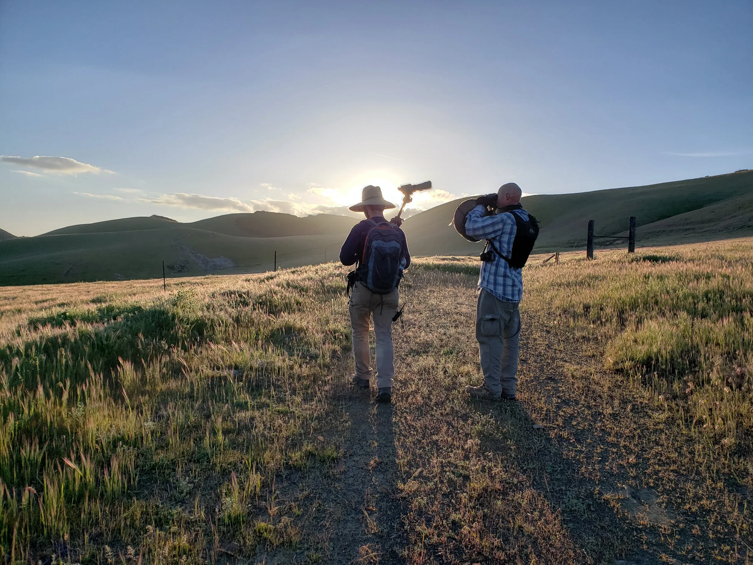 Michael Mulroy and Brad Meiners set up to identify bird species at dawn.