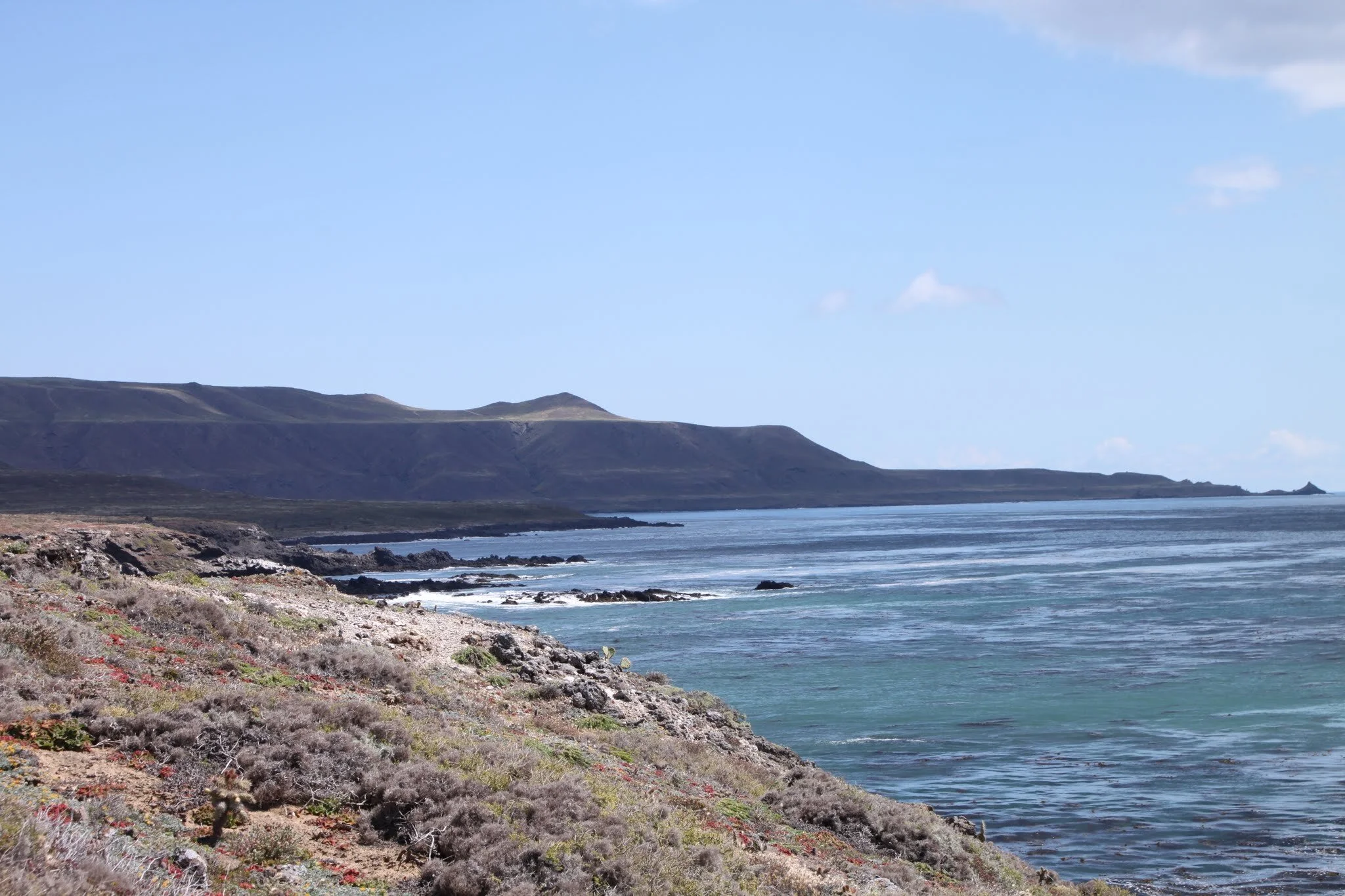 San Clemente Island — Channel Islands Restoration