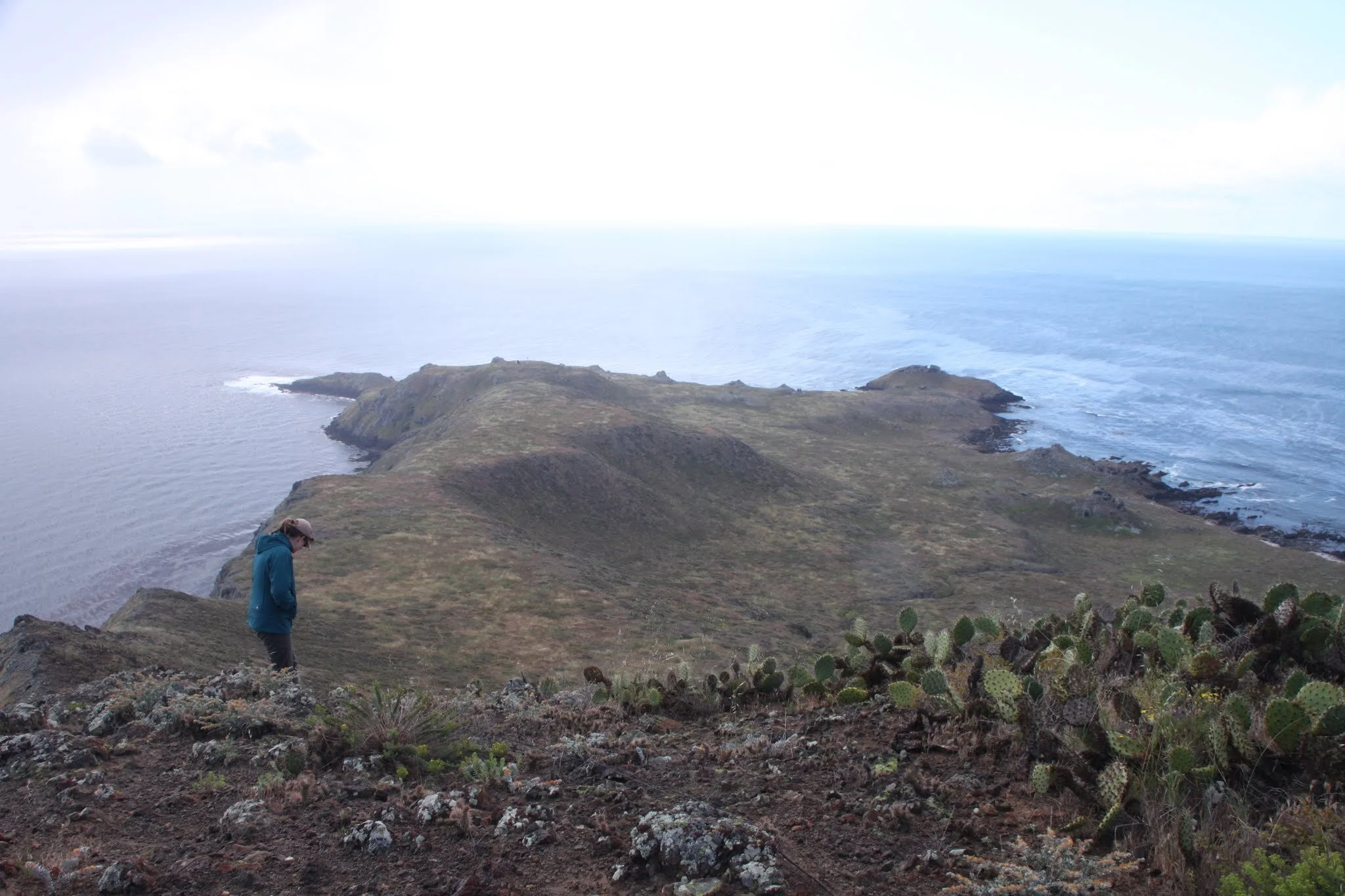San Clemente Island — Channel Islands Restoration