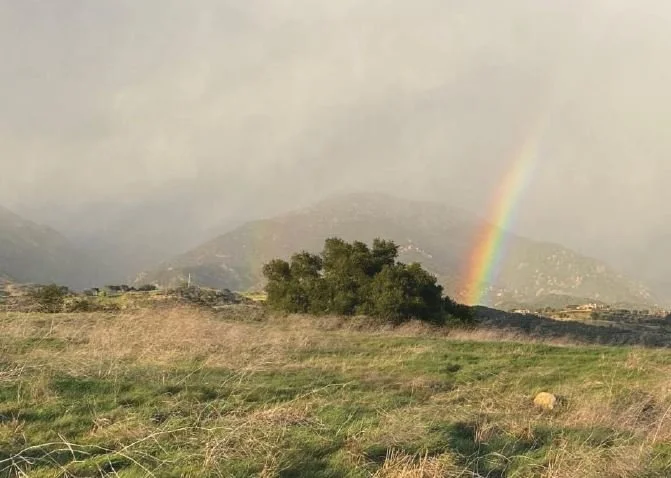 Channel Islands Holiday Party