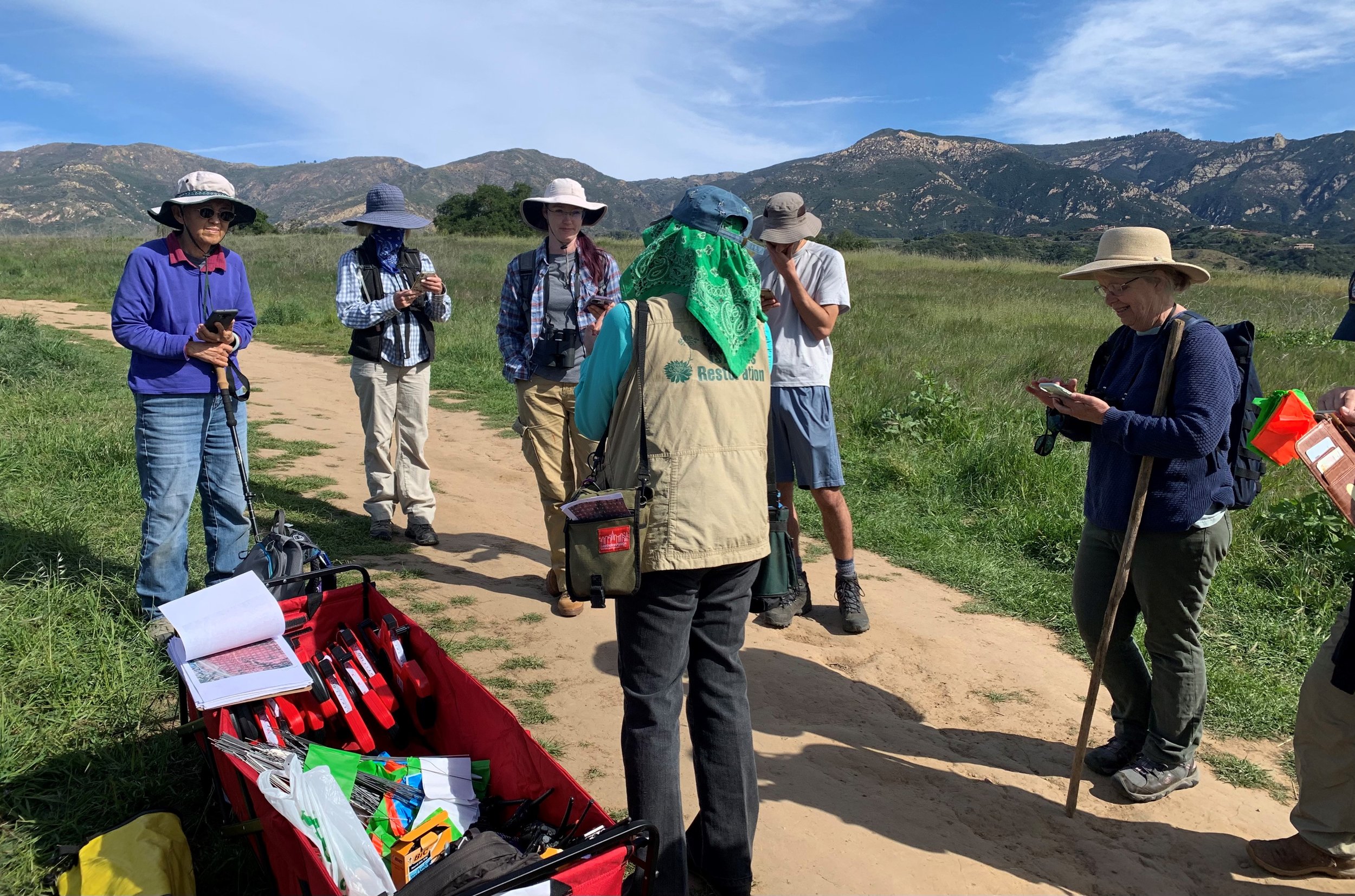 Native Plant Mapping At The San Marcos Foothills