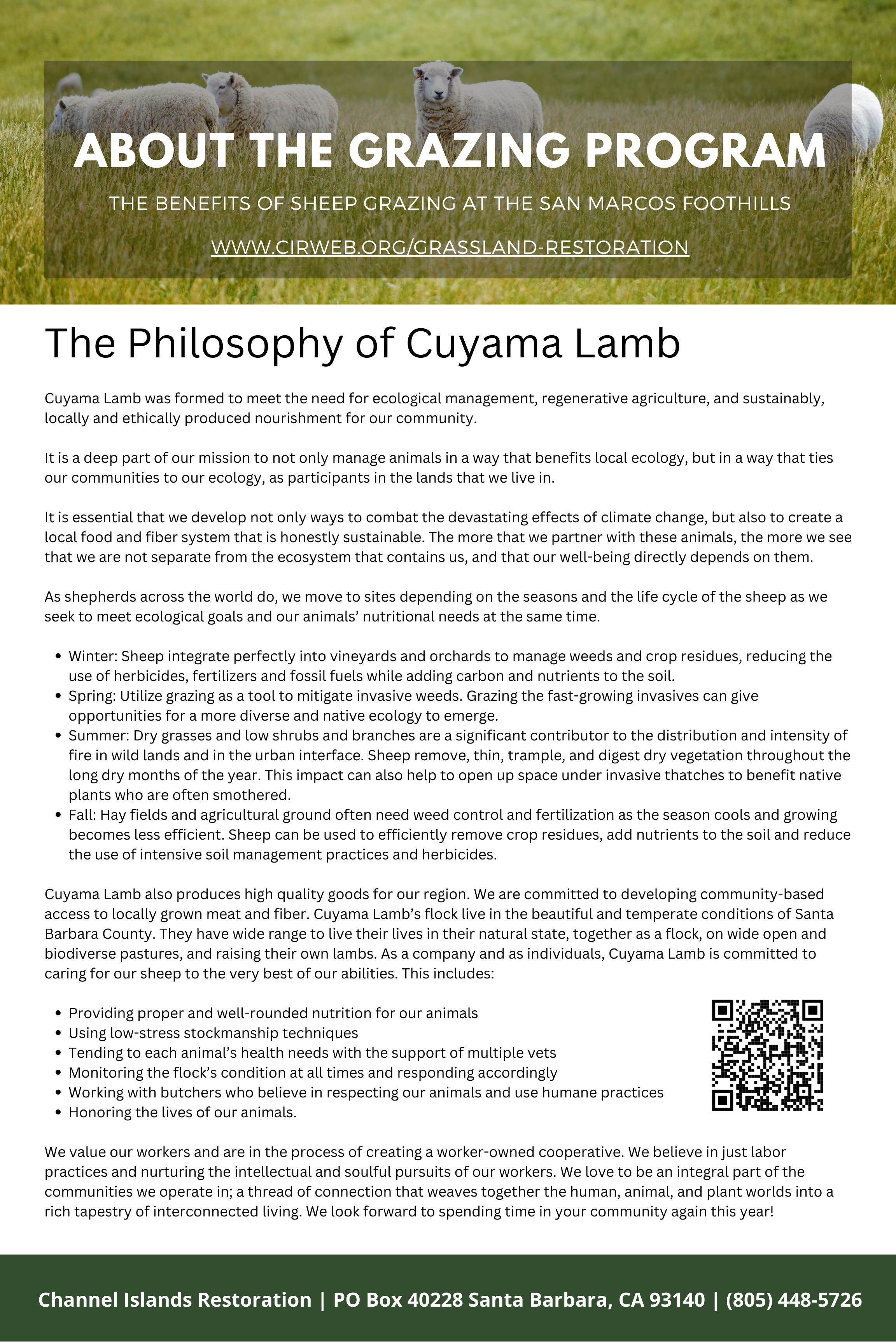 Cuyama Lamb Philosophy.png