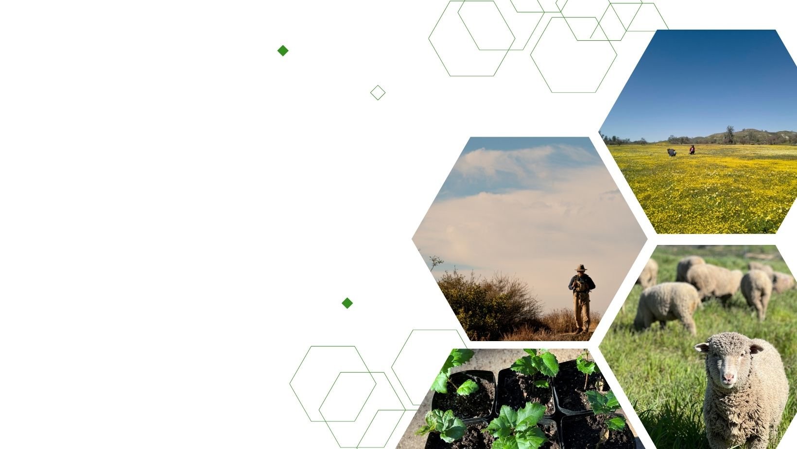 Join Our Matching May Celebration!