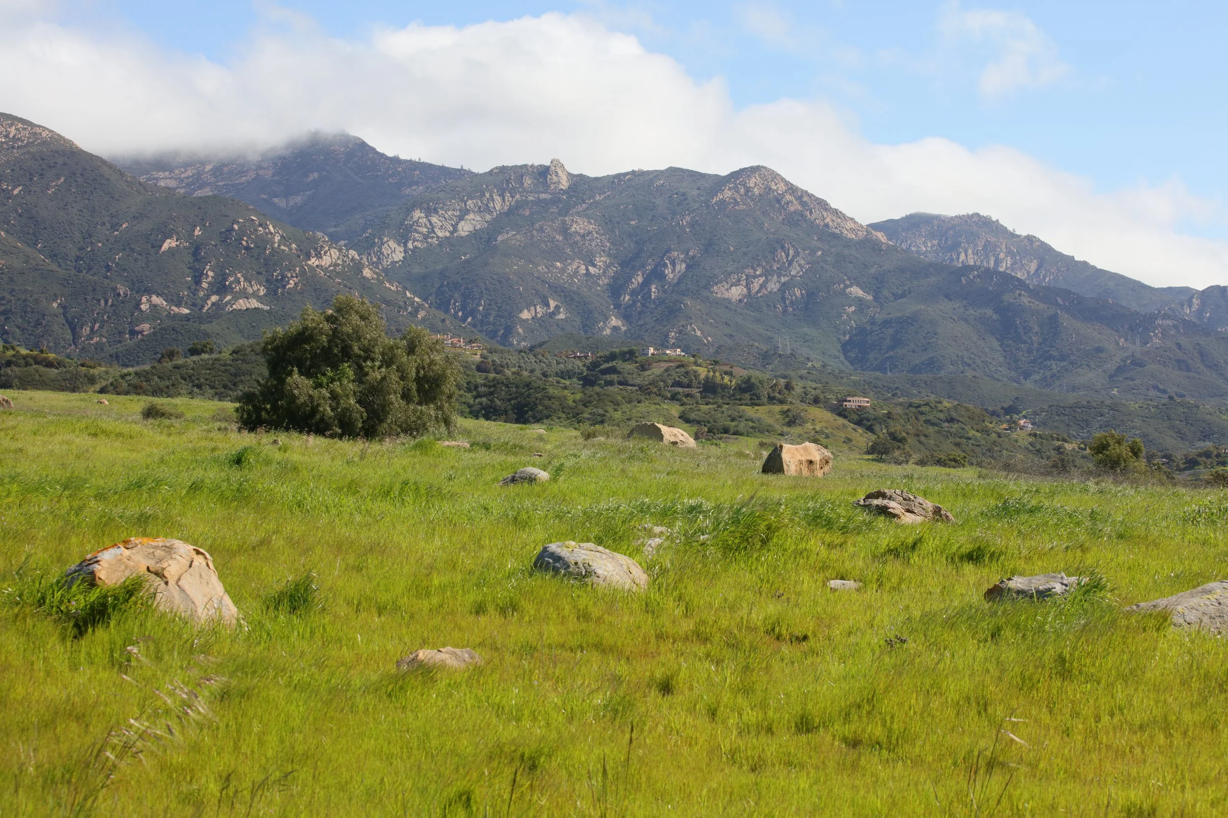San Marcos Foothills Volunteer Day