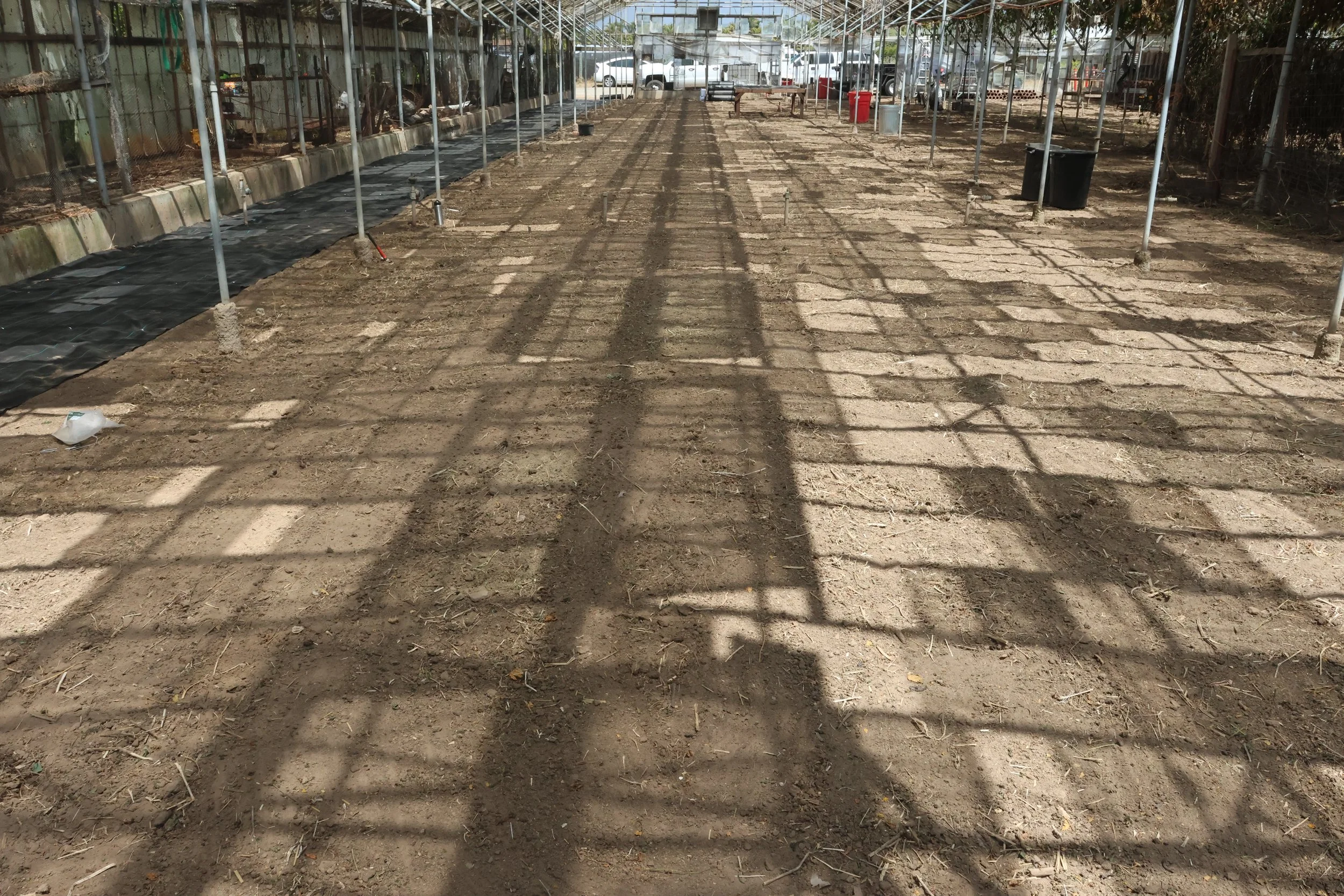 Volunteer at our New Nursery  (July 3, 2025)