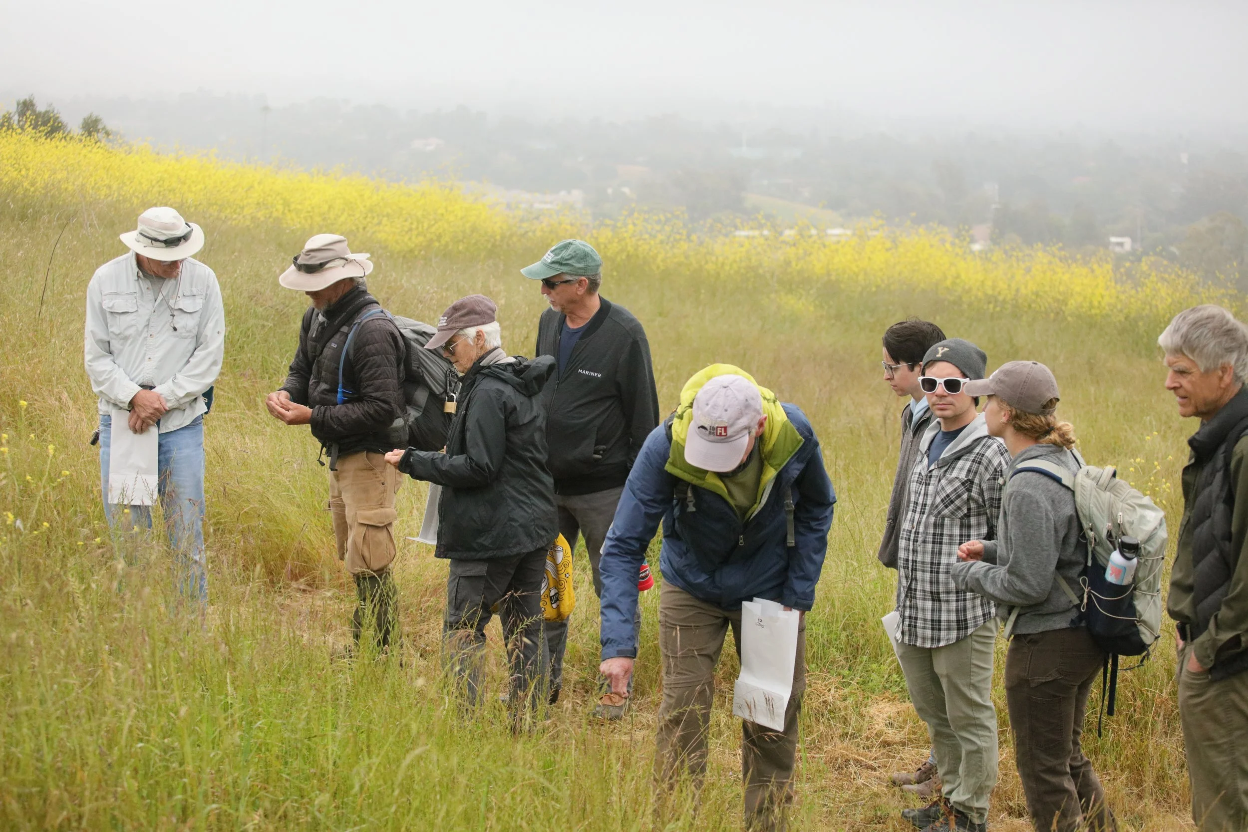 Seed Collection Event at the San Marcos Foothills
