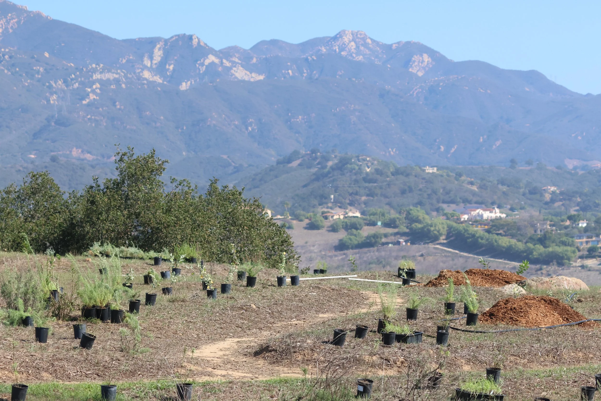Volunteer Planting Day: ‘al-tipašumawiš Ethnobotany Garden 