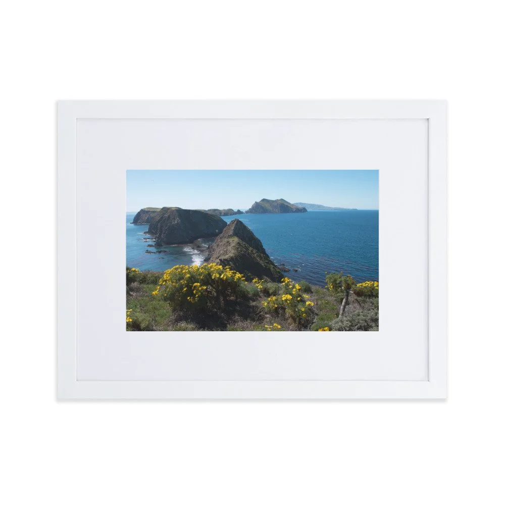 matte-paper-framed-poster-with-mat-(cm)-white-30x40-cm-transparent-692ea293c99e7.jpg