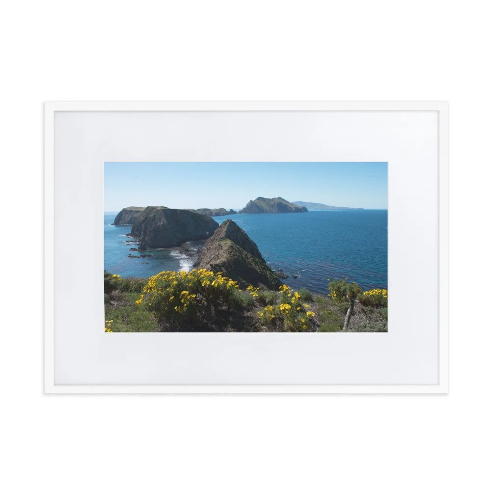 matte-paper-framed-poster-with-mat-(cm)-white-50x70-cm-transparent-692ea293c9af8.jpg