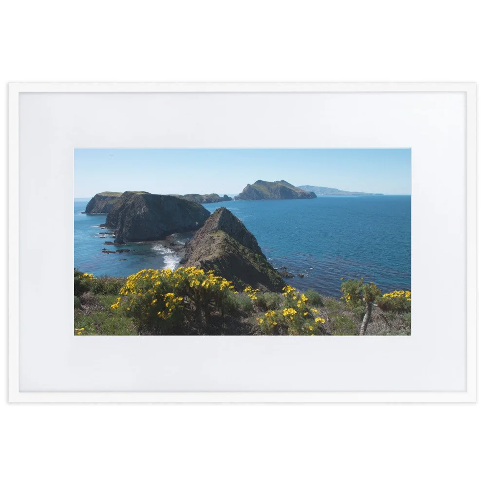 matte-paper-framed-poster-with-mat-(cm)-white-61x91-cm-transparent-692ea293c9bde.jpg