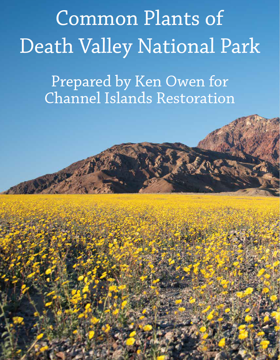 Common Plants of Death Valley National Park