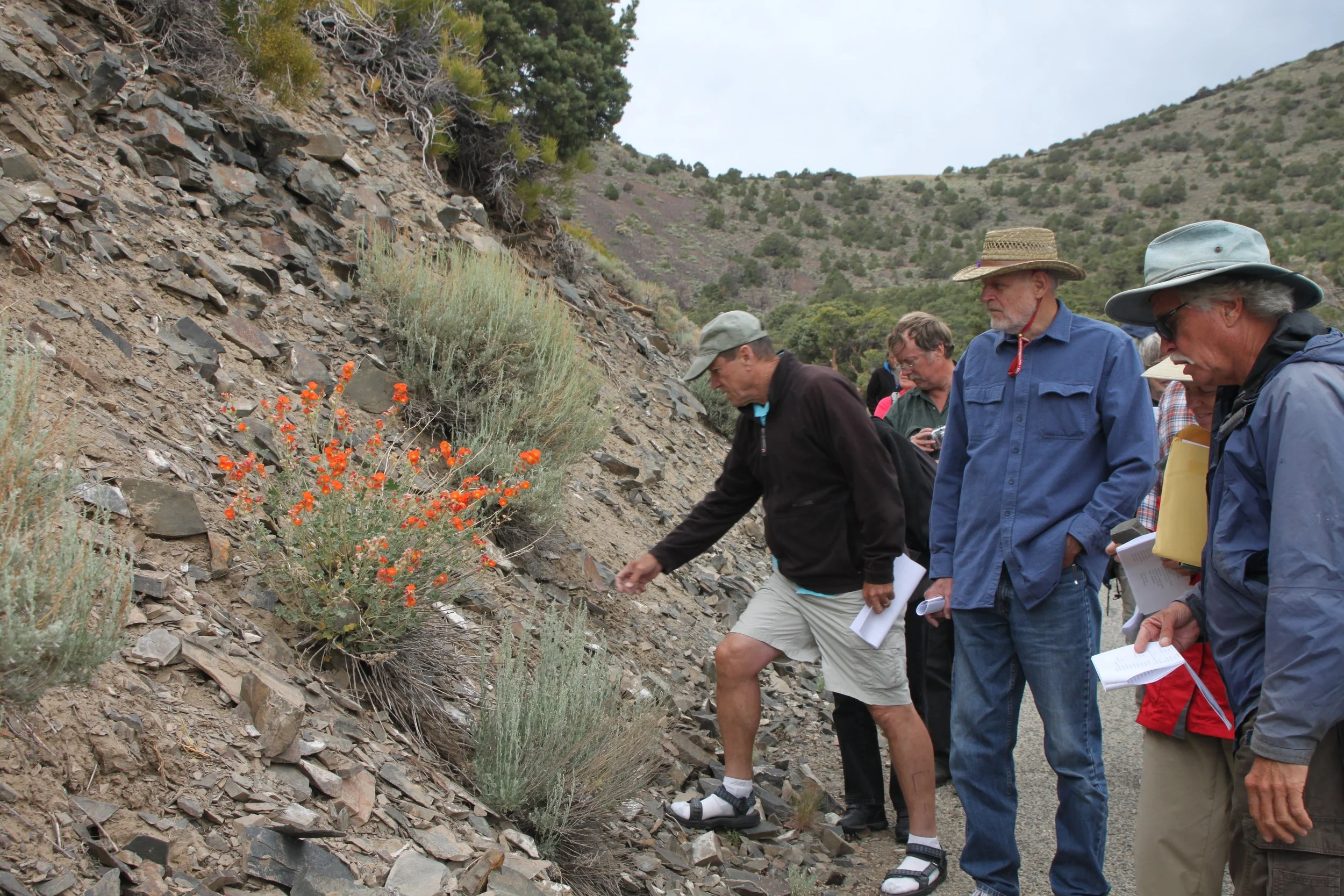 Whites_2010-07 102.jpg