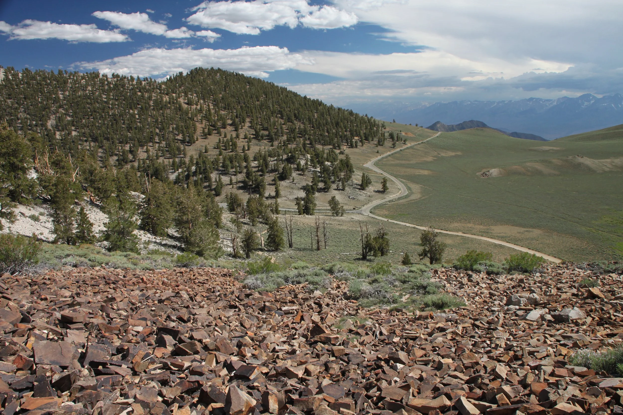 Whites_2010-07(p3) 260.jpg