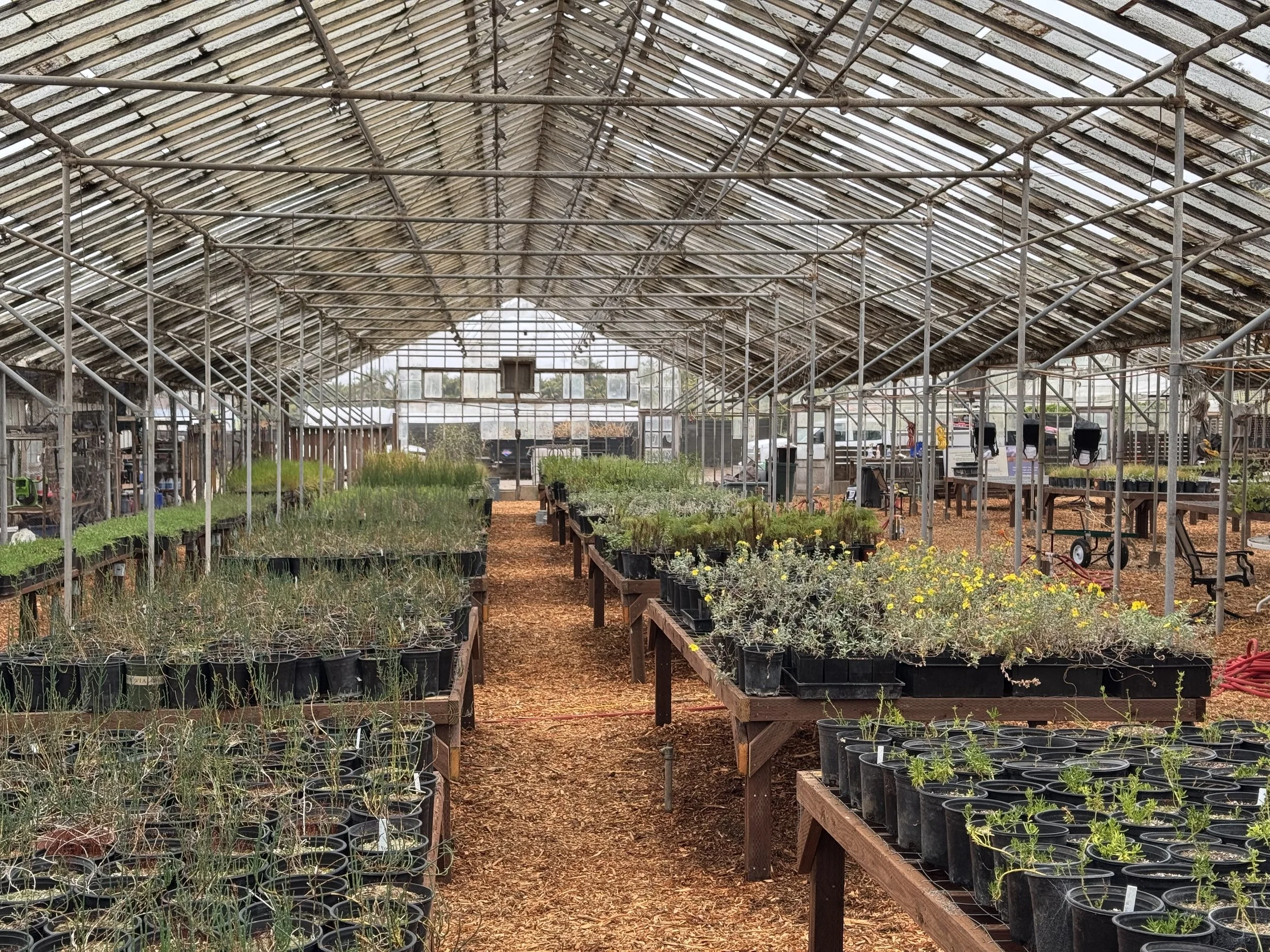 Join The Core Nursery Volunteer Team!
