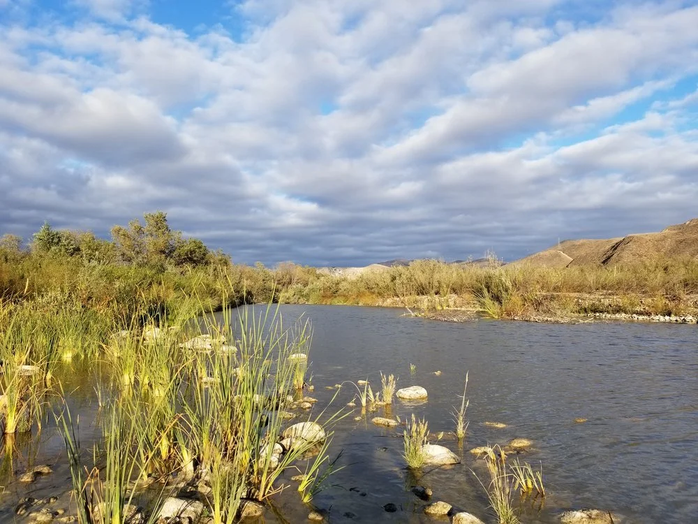 Webinar: Santa Clara River - Watershed Restoration and Protection Through Local Action