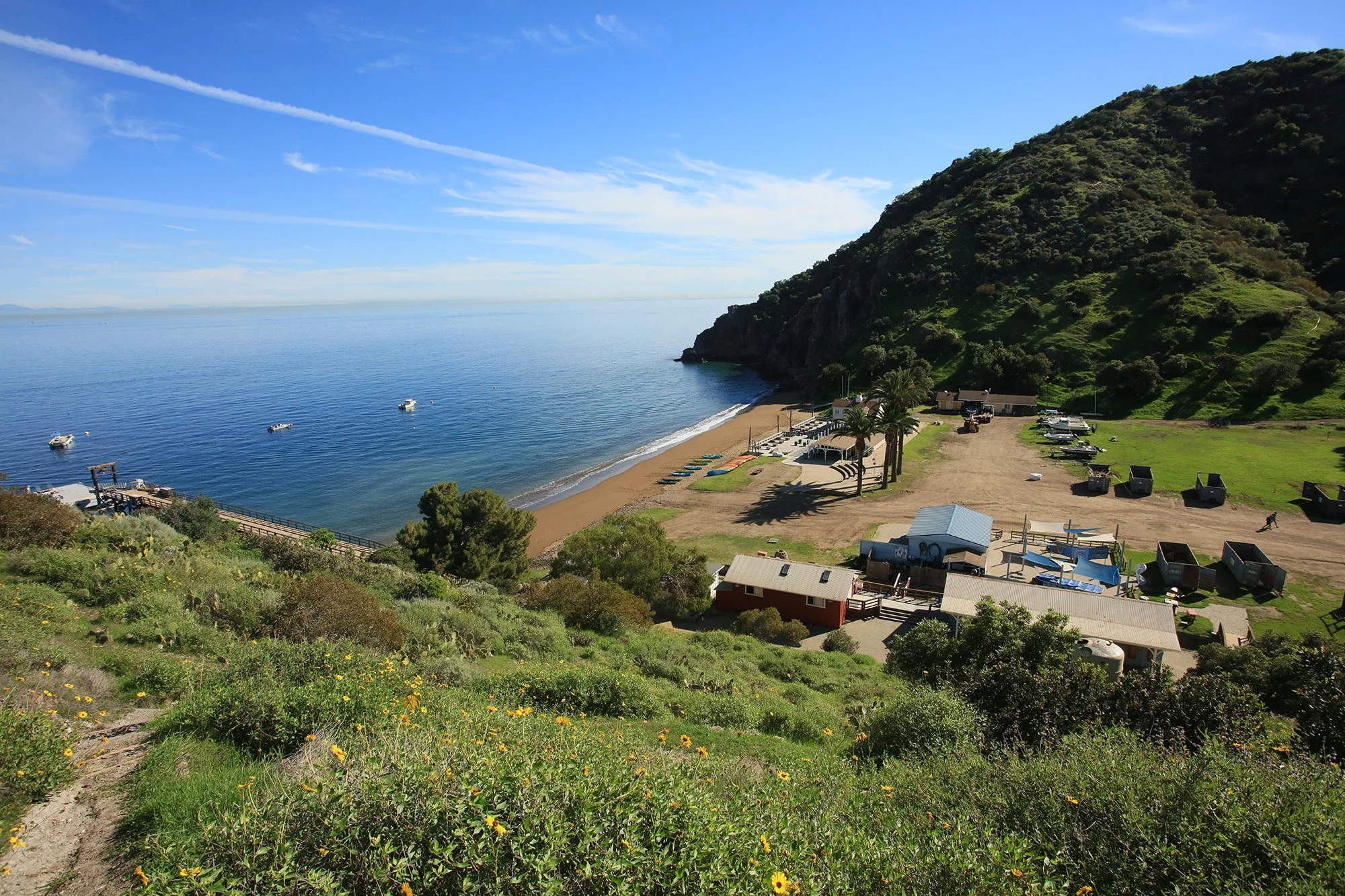 Catalina Island Restoration Adventure