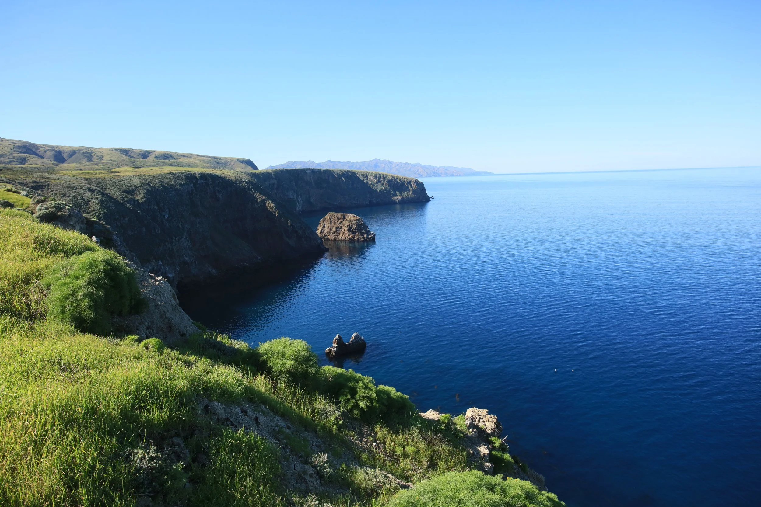 Cavern Point Restoration Project on Santa Cruz Island