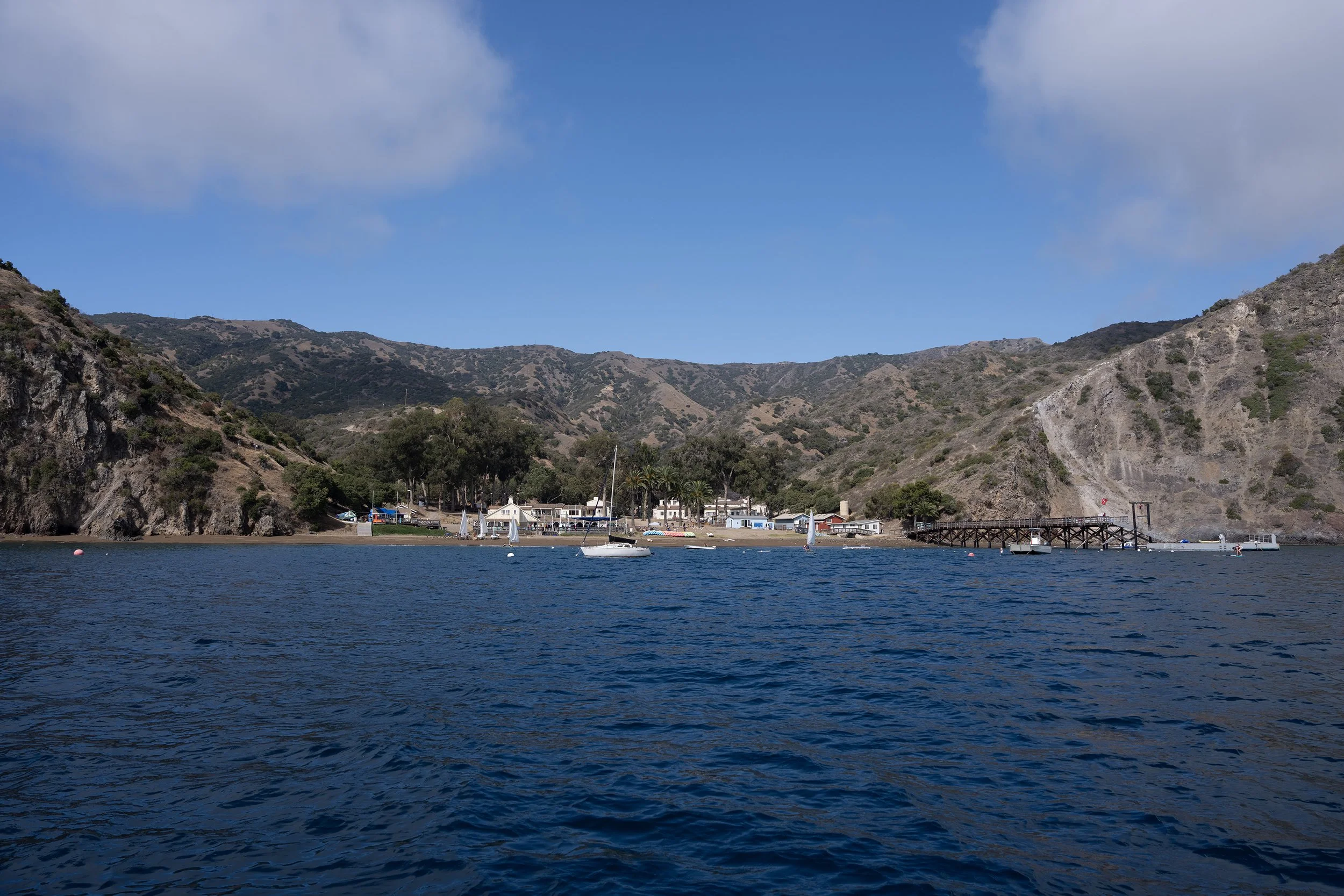  Catalina Island Volunteer Day
