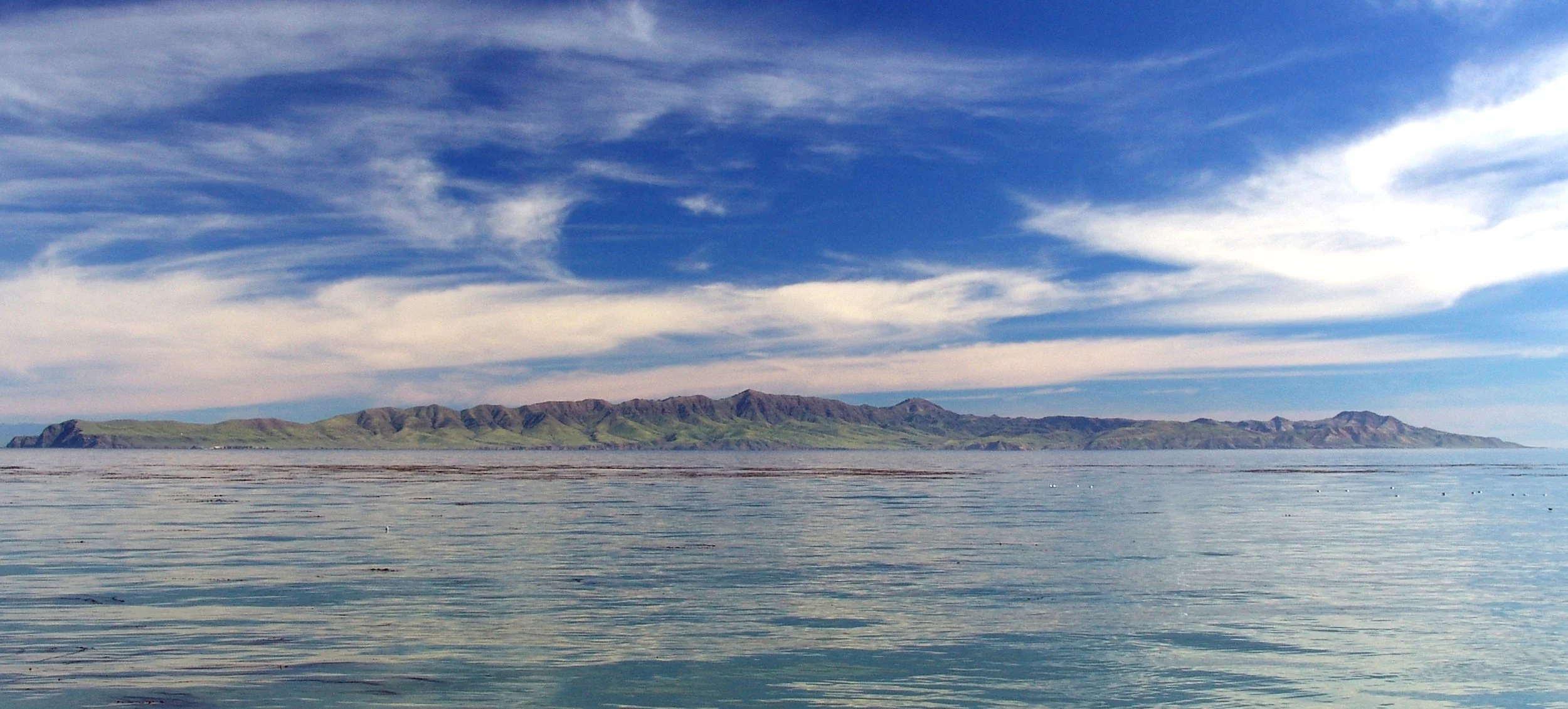 SCI_West end from SRI.jpg