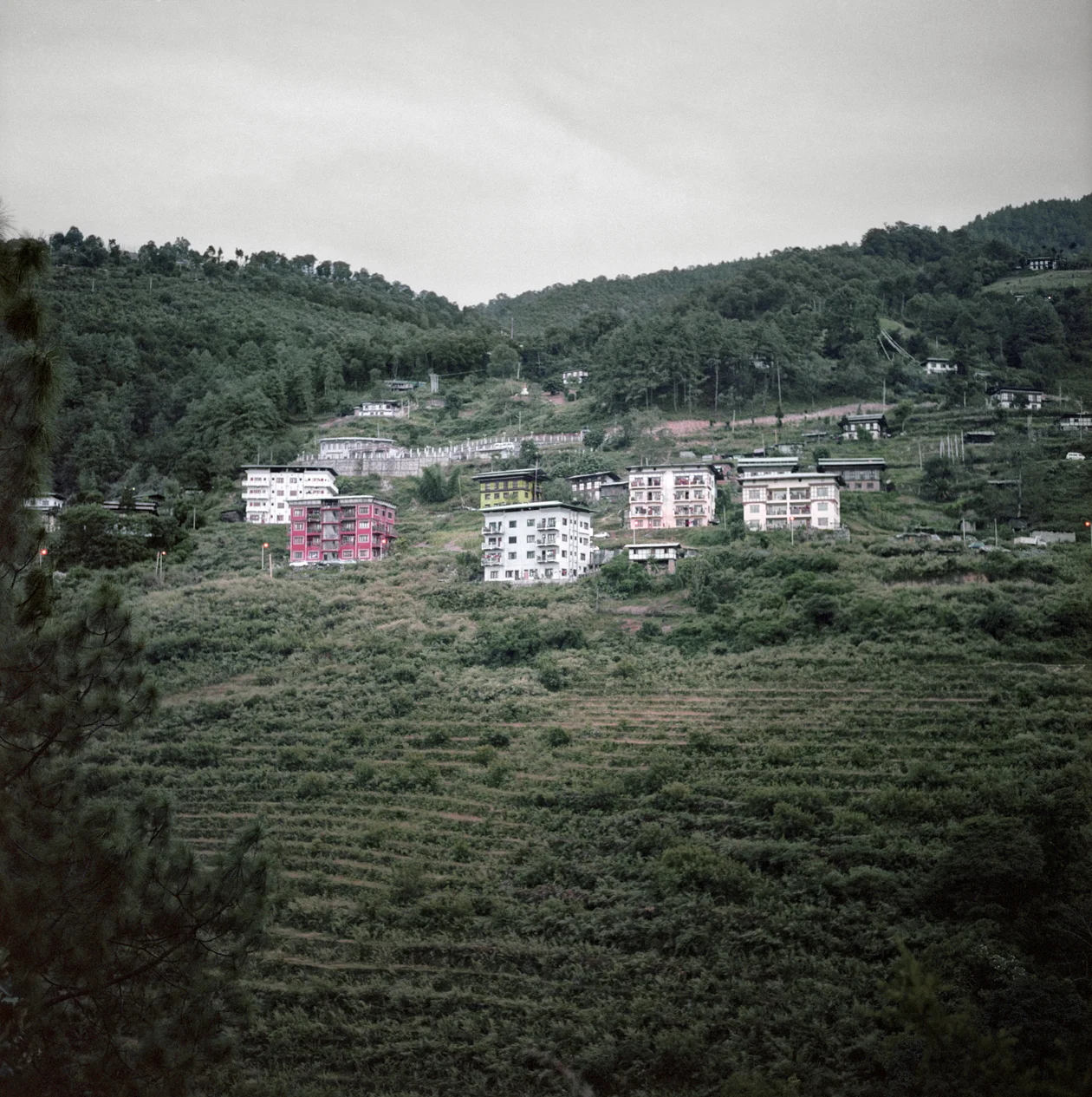 Adrien_Golinelli_BHUTAN_07.jpg