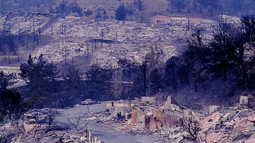 Devastation in the Oakland Hills in the 1991 firestorm. Photo Credit: MarketWatch