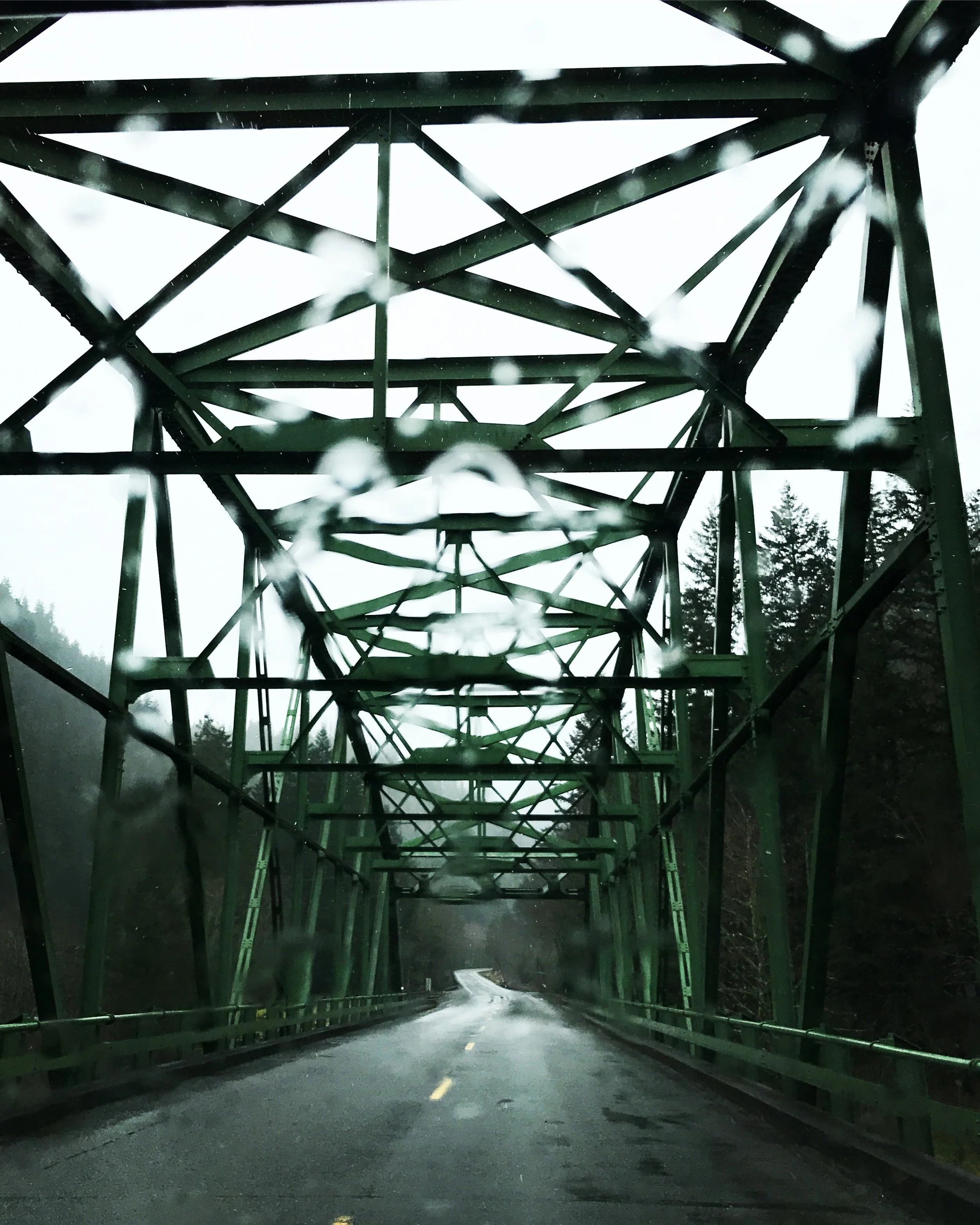 The rain is a blessing, if you choose to accept it. I often find myself on the defensive when it comes to rain. Like really often actually. We talk about rain in the NW a lot as you can imagine and I’m always miffed when someone starts to whine about the weather. It feels personal. How can you complain about water, aka life, falling freely from the sky? Or grey contemplative days, soothing pitter patterns, and the satiating cleanse of the air and earth? Green, lush forests filled with ferns and evergreens all year long? Roaring rivers, cascading waterfalls, full water sheds and wetlands? Refreshingly saturated air, that soothes your skin, and cleanses your soul? Beautiful water droplets suspended on branches, peddles, and blades of grass? Stormy, exhilarating walks through wet streets and puddled trails? To come back to a cozy dry space for tea on a drizzly day? Watching the rain pour, all I can see is renewal, solace, and life. It is sacred. You can go outside and dance in the rain if you choose. Or enjoy the cozy warmth of your own space. Or hell, sometimes you might be escaping a flood. But don’t commit the blasphemy of thinking rain is ever in your way, it is only you that is in the way…