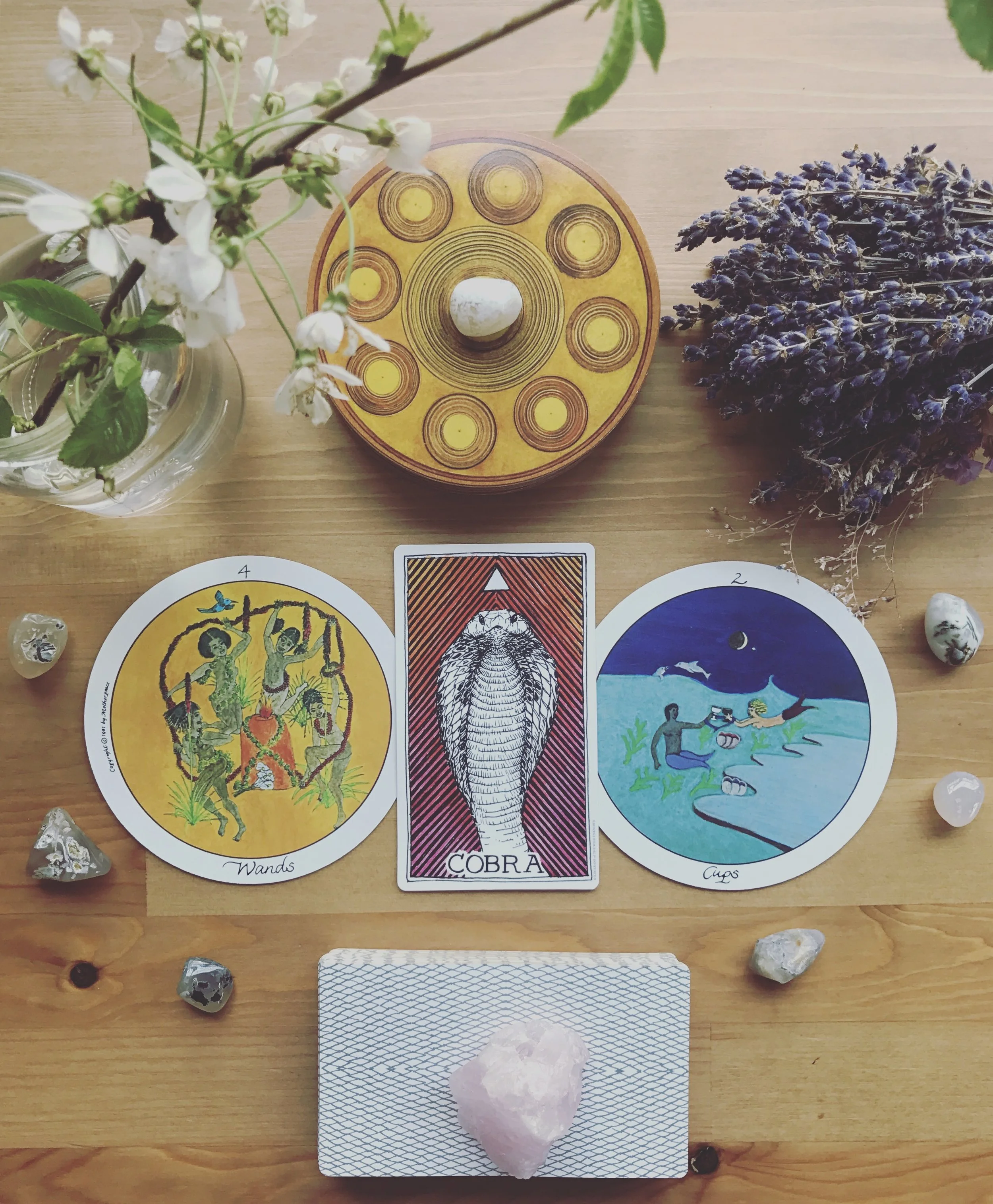 Last night, in a sort of lucid dream, I think I was initiated and united with some seriously powerful energy. After awaking to a bloody mess threatening to overflow onto my sheets at 330 in the morning, I couldn’t fall back asleep. In these moments, I turn to meditation to help me back into a resting, calm mindset. As I was grounding and reaching out to the universe, my mind shifted simultaneously to a powerful visualization that came to me from my reiki healer in an especially nurturing session. As I reached out to connect with the energy of the universe, it began flowing back to me and into my heart, where a seed began to sprout. The seed birthed a green stem from my chest that grew into a beautiful, budding pink lily. As it bloomed it turned it’s petals toward me, cocooning me in a shelter of divine and self love. And then I fell asleep… kind of. I was in a sort of lucid dream, I assume (I’ve never been able to do this consciously). It was absolutely clear that I was vibrating with the energy of the divine feminine. I felt it in every cell of my body. And then ideas, truths, feelings of sorts began scrolling through my mind so fast I could barely capture the scrolling into words or concrete memories. It felt like a download of sorts, as my reiki healer would call it. And then I settled into a dreamless sleep that lasted well into the morning. This morning’s draw has me stunned, humbled, and struggling to accept the gift of what must have happened last night. The four of wands is a card of initiation and celebration. It is a turning point, one that requires an advancement in responsibility but also marks significant growth. The two of cups is a union of equals. It can happen between two people, between two parts of ourselves, or even a person with magical energy or divinity. The Cobra represents our inner teacher, wise and connected to the divine. Could it possibly be true? Was what happened last night an initiation into a deeper level of wisdom, connection, and magic? What does this mean?! Even while writing this I feel that vibration again, of being connected to the divine, buzzing from my toes to the crown of my head. I’d love any feedback from my fellow magical and healing practitioners if any of you feel so inclined. Wishing you all powerful initiations, connections, and lessons from inner and outer teachers today. Peace and love to you all. Blessed be.