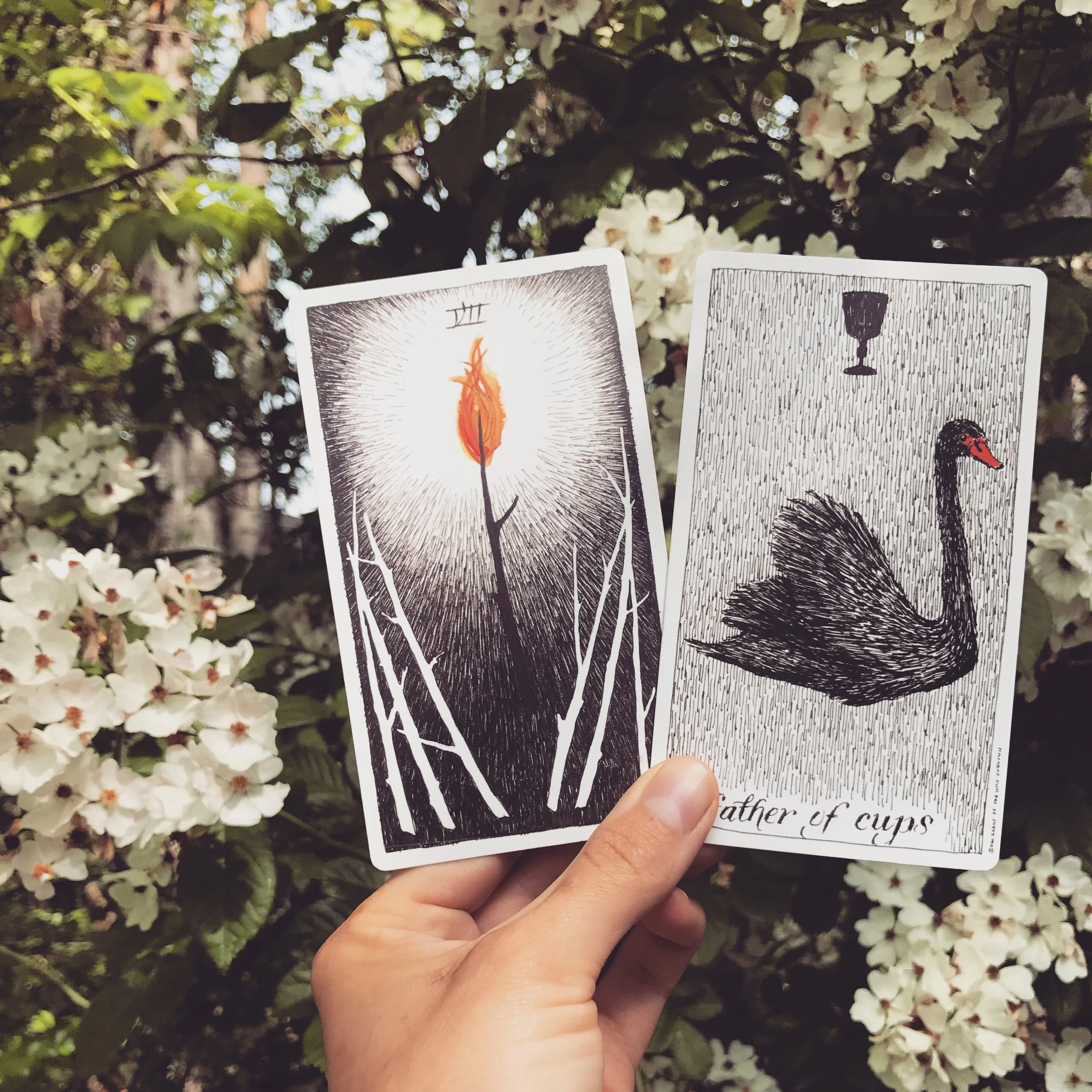 It has taken me a while to see the value in the father of cup’s emotional maturity and detachment. Whenever I read advice that suggests taking our emotions out of the situation, I bristle. I have been told I’m too passionate far too often in my life. I’ve been told I’m too sensitive, too emotional, too wishy washy… you know, the typical Piscean hate. I’ve spent a lot of my spiritual and psychological journey learning to own my passion, love my feelings, nurture my sensitive nature, and revel in my dreaminess. And as I come to know what it feels like to love and defend who I am, I can see the father of cups and his message with greater clarity. I am beginning to see the value in emotional detachment in defending yourself, protecting yourself, and getting through some shitty situations where your emotions will not be valued. I’ve come to realize that my emotions are precious. My sensitive and empathic nature is a gift. My dreaminess knows reality and keeps me grounded. For all my co-sensitives out there, you know that these traits are prayed upon, sometimes by the one’s we trust the most. And this is where the emotional maturity and detachment of the father of cups can help us. If we can learn to deal with those who do not deserve our passion or our emotional natures in a dispassionate matter, we are better able to defend our being and wholeness. Those who will not respect and value our emotions do not deserve them. Essentially, we can use detachment to keep the vampires out. Once safe, we can let it all out, of course. Detachment also allows us to see emotional vampires with a compassion. When they are not able to suck us dry, we can see that they are in need, that they are wounded. But we don’t have to go and join them there in that wounded, dark space. We can offer our hands to help them up, to help them through, but we can no longer sacrifice ourselves to their needs. Our gifts are to be respected, defended, and believed in. We must draw that line of defense. Blessed be.