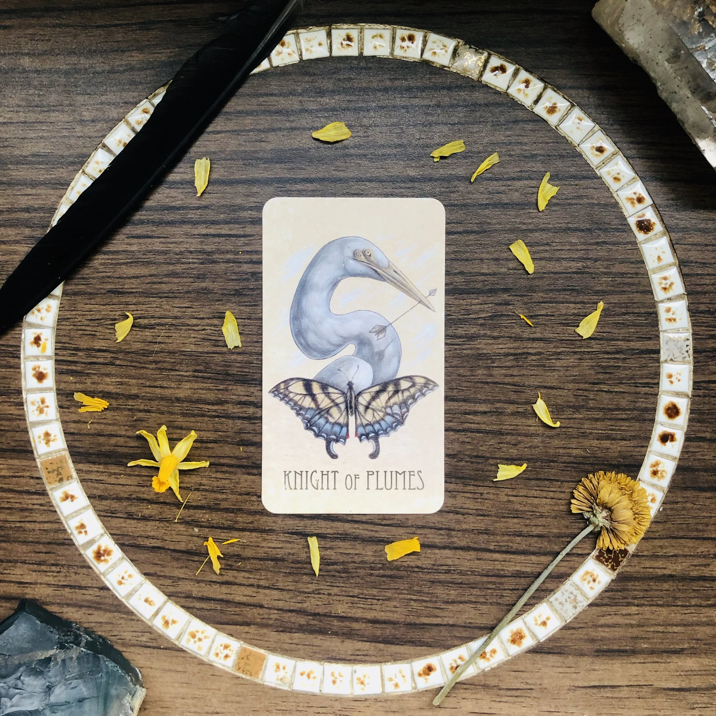 After almost an entire month of Mercury retrograde, be prepared for a month of swift communication, expression, and thinking. This mental energy is breath of fresh air rushing you into the feeling of spring. Let yourself be carried away on this journey and keep moving, expressing, talking, thinking. You may find yourself in some arguments, but trust in your ability to use your words wisely. In fact, you may find that your words are powerful weapons that refuse to be subdued in anyway. Give in to this mode of self-expression and see where it takes you.