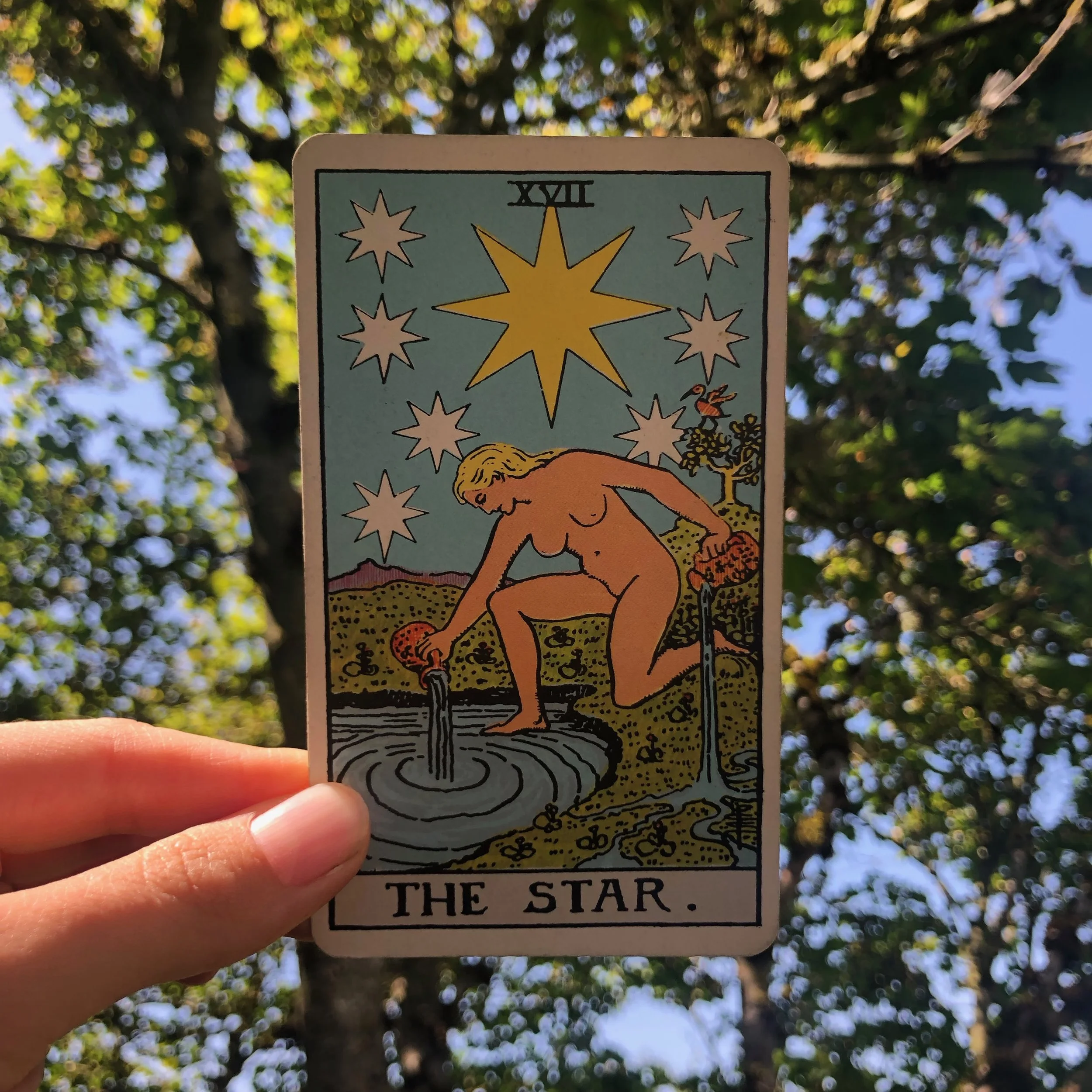 It has been a fucking summer dear Cancers. I’m sure the eclipses are working your charts in ways that are both challenging and beautiful. This month, take time to revitalize yourself by seeking healing and faith. Solidify your faith in yourself. In love. In the world. Let the power of trust heal you, steady you, and show you the way forward. You are so strong my dear. Trust in the power of your being. Trust in your ability to weather and work through any storm.