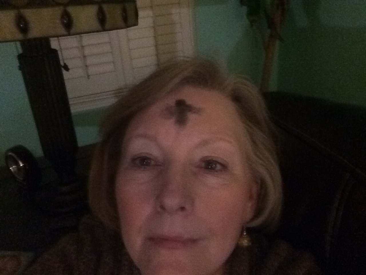 From ashes you came and from ashes you shall return.