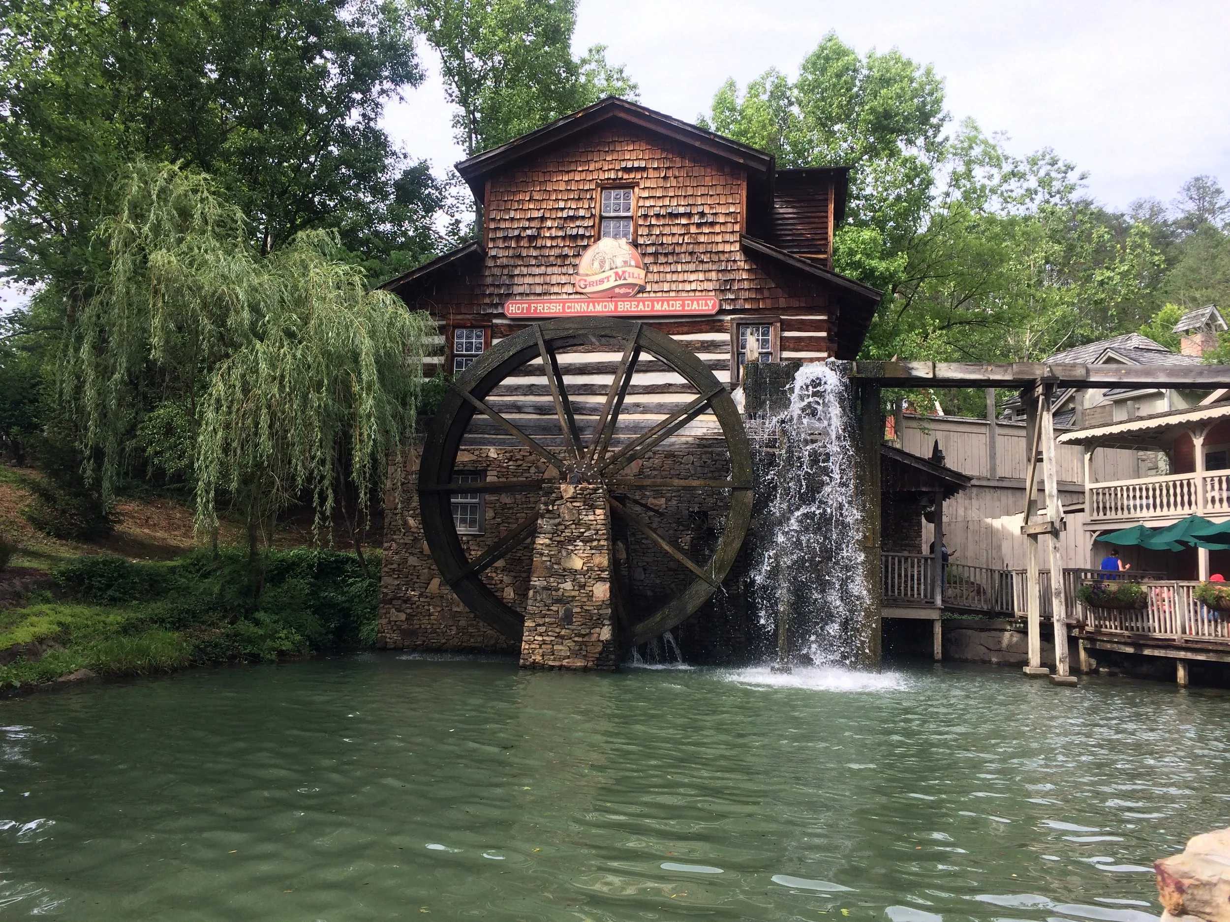 We bought a bag of fresh-ground white meal from the grist mill.