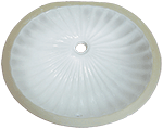  Seashell