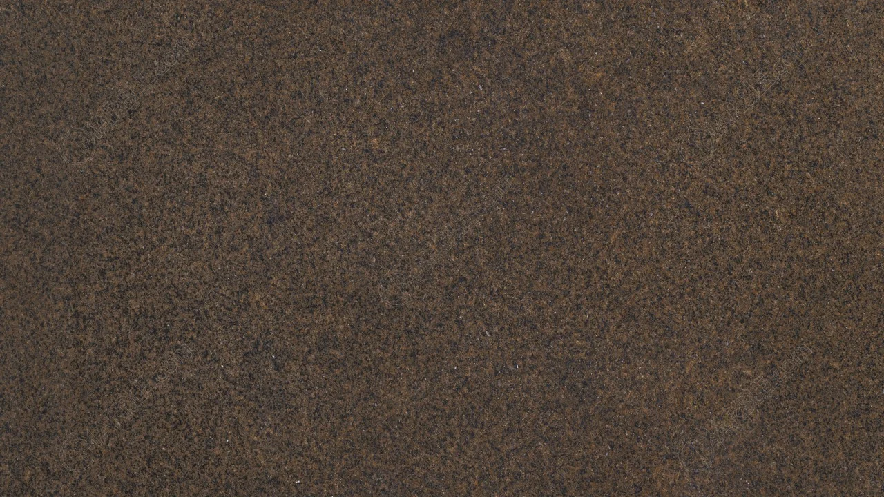 Tropical Brown