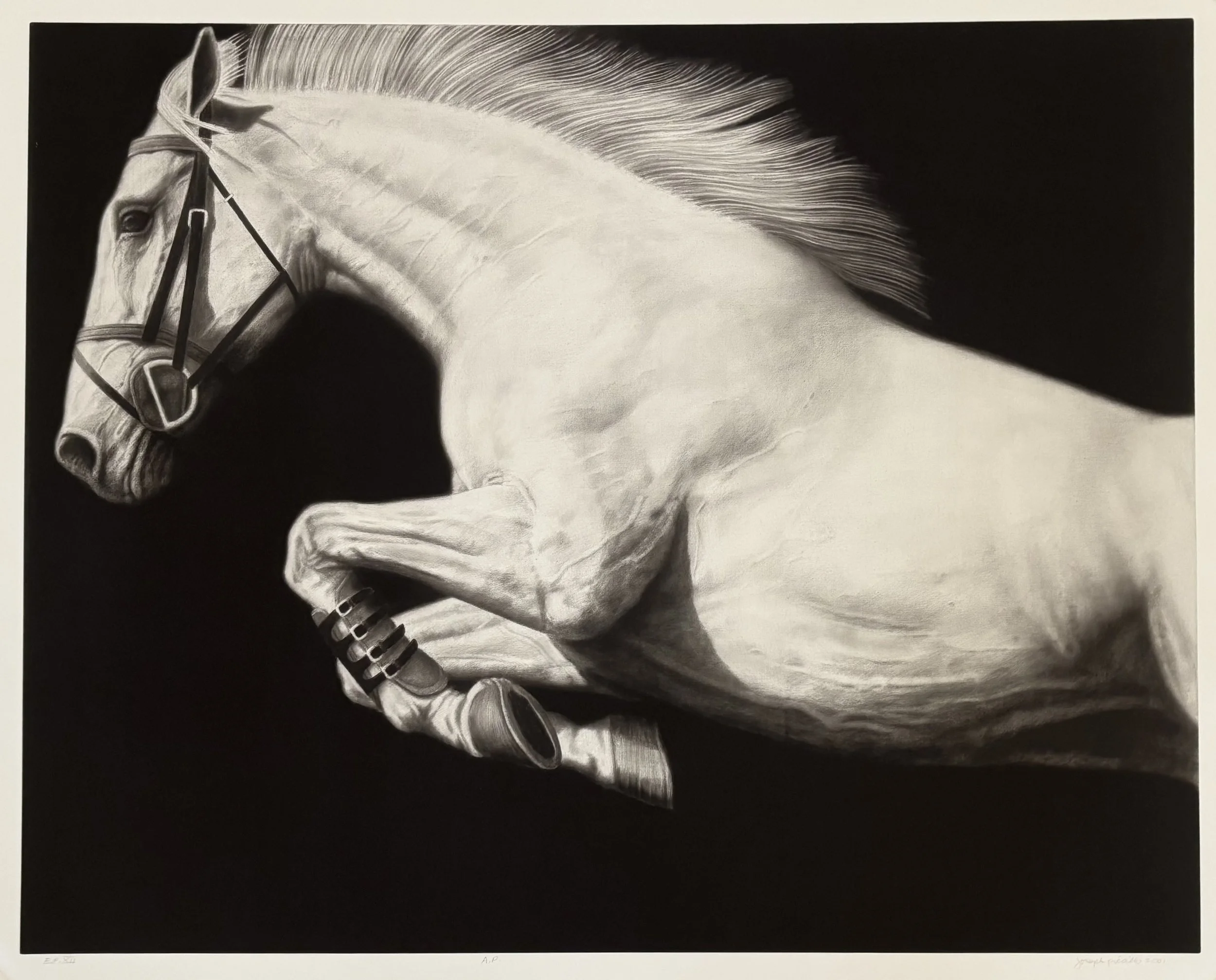 EP XII (by Joseph Picillo, 2001)