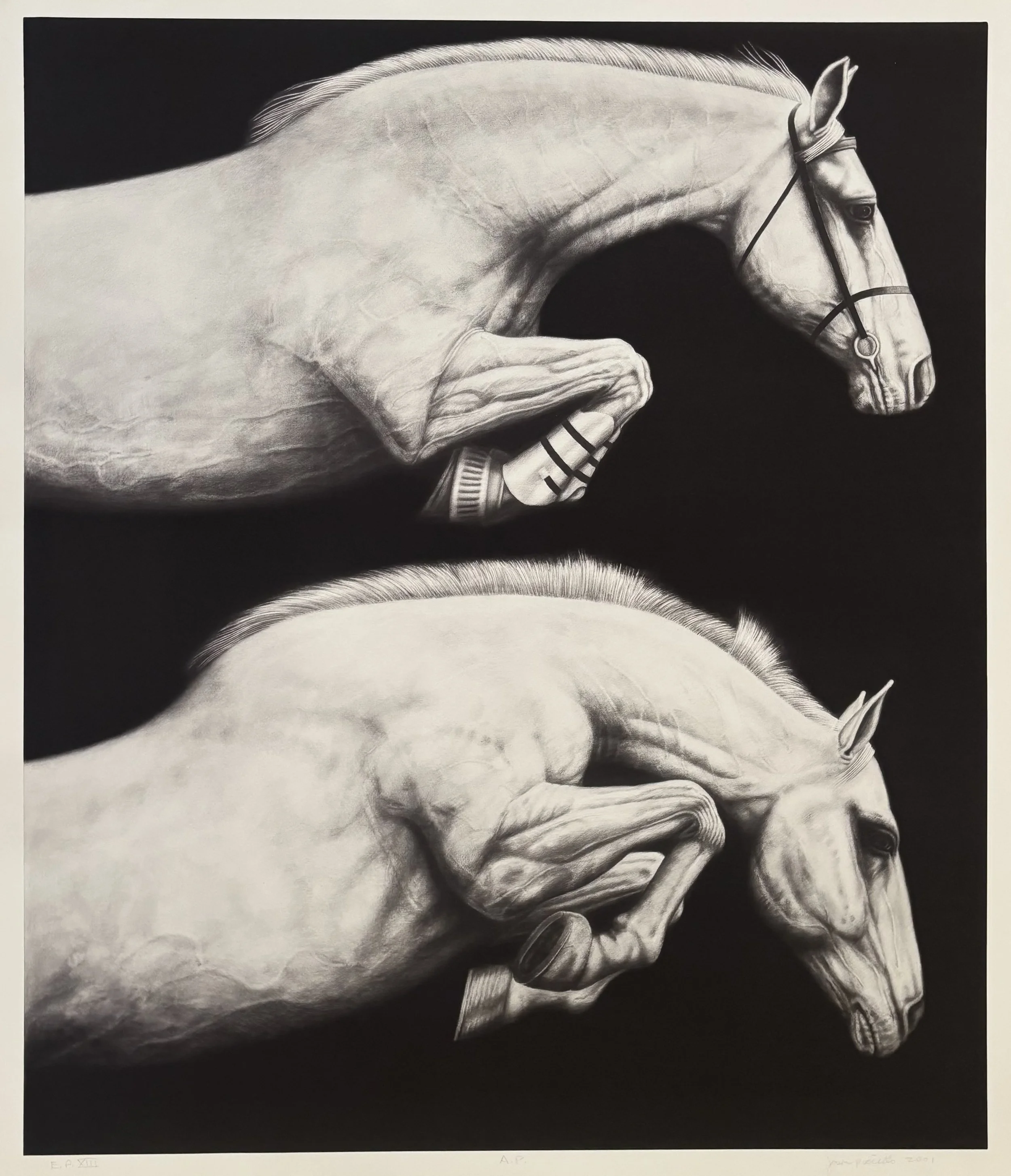 EP XIII (by Joseph Picillo, 2001)