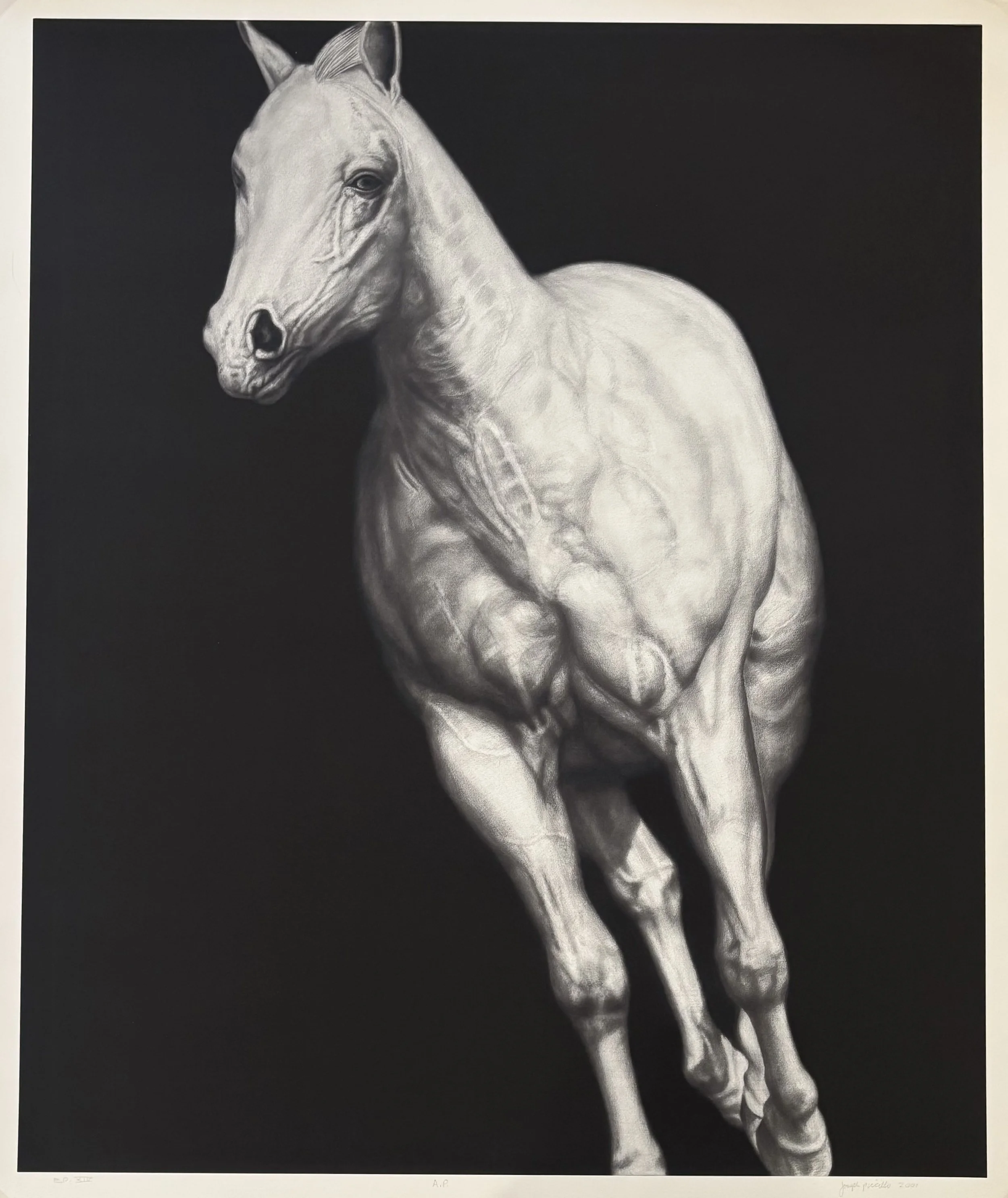 EP XIV (by Joseph Picillo, 2001)