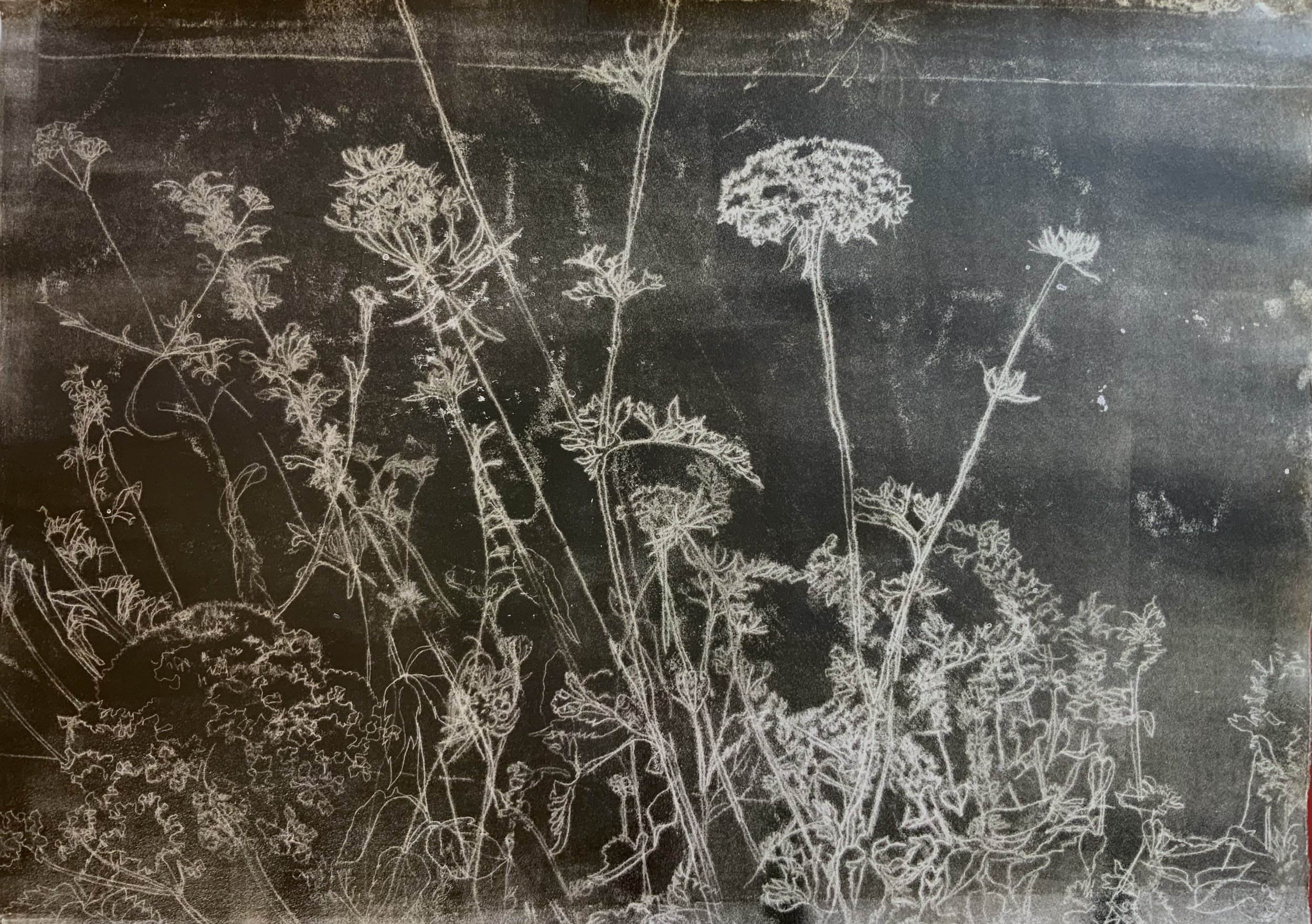 Rodin Garden, Philadelphia