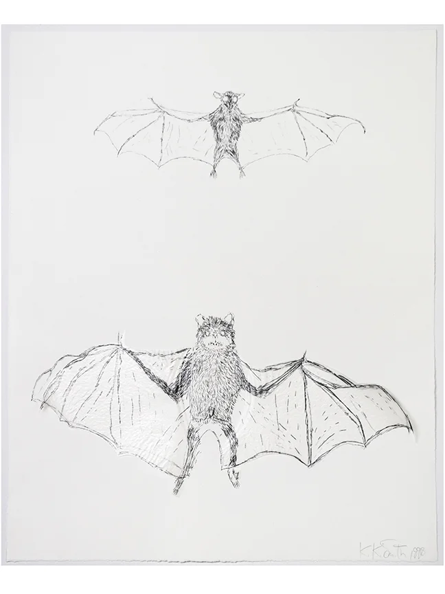 Kiki Smith Bat print