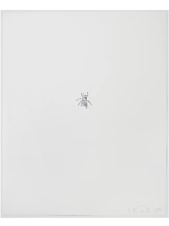 Kiki smith print