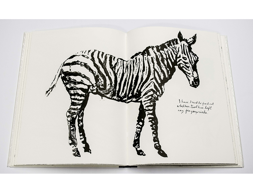Raymond Pettibon Plots On Loan Zebra