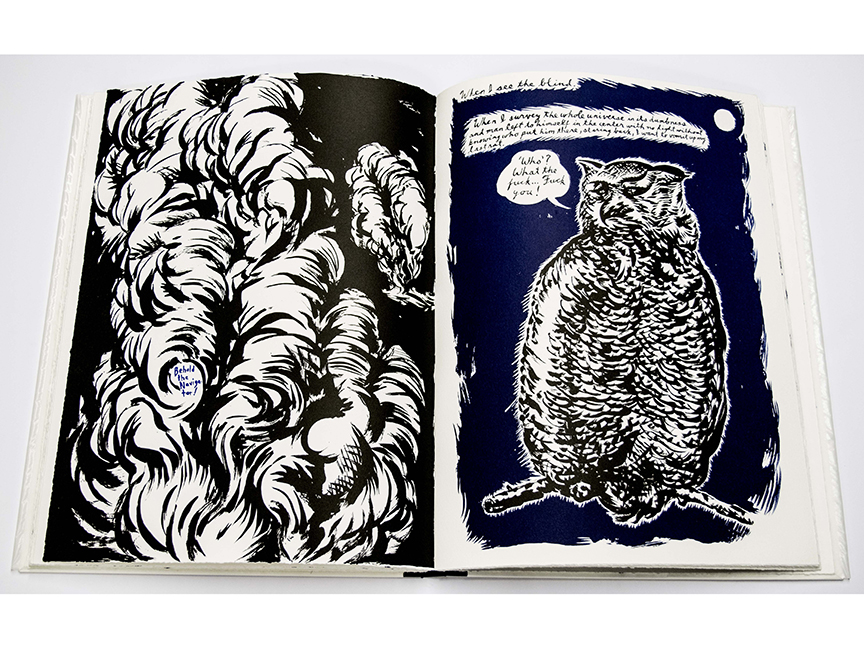 Raymond Pettibon Plots on Loan book