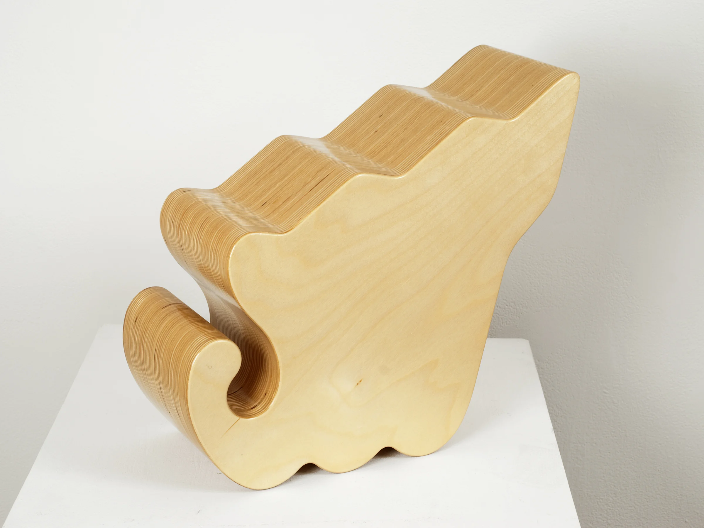 Allan McCollum - Shape #11, 2006