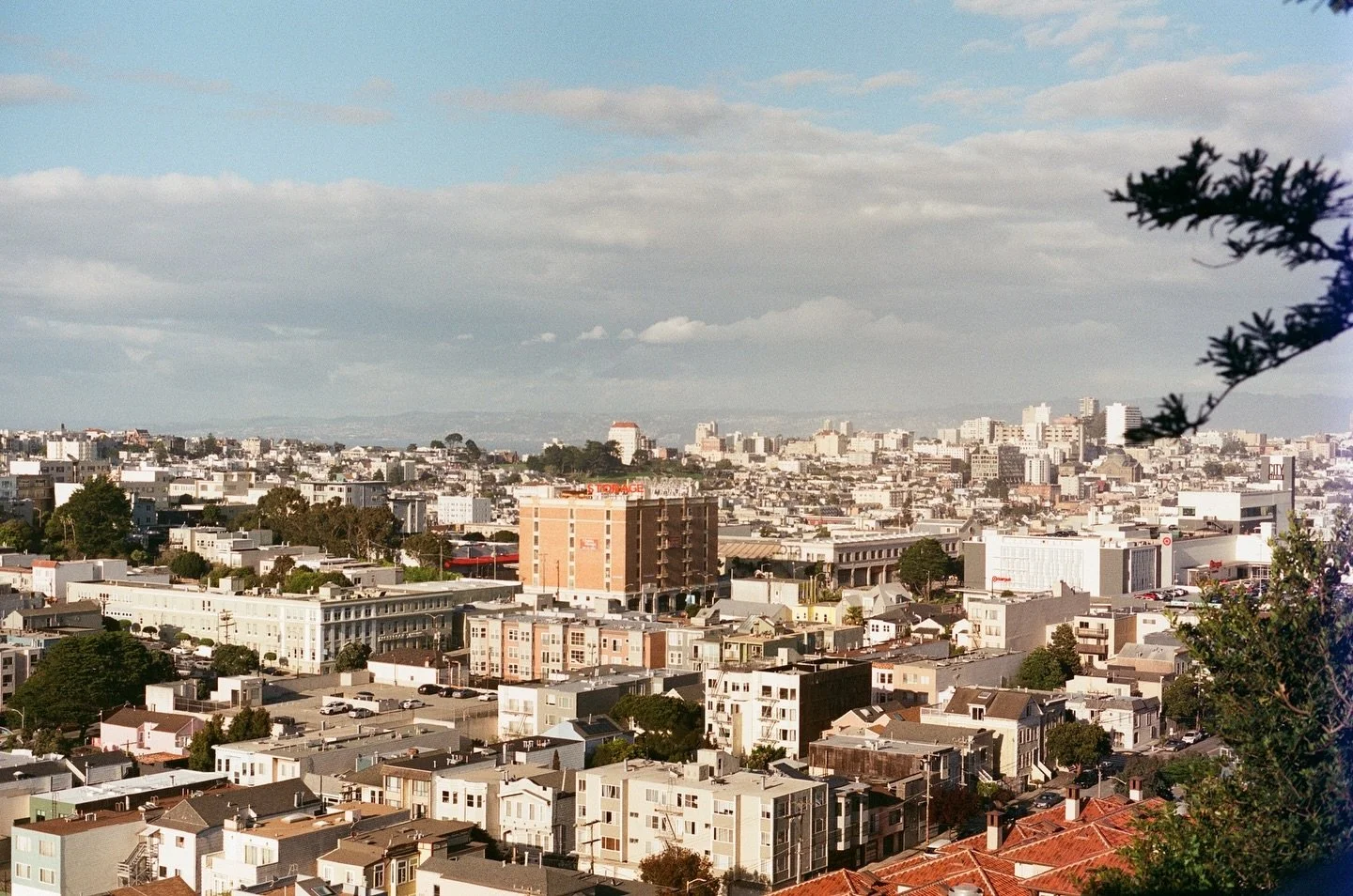 views of the city from a walk we took way back. 

feat. a few light leaks, idk what happened but I must&rsquo;ve opened the back by accident 🤷&zwj;♀️

📸 Minolta x-700 
🎞️ fujifilm 
#sanfrancisco #sf #cityphotography #photooftheday #fujifilm #photo