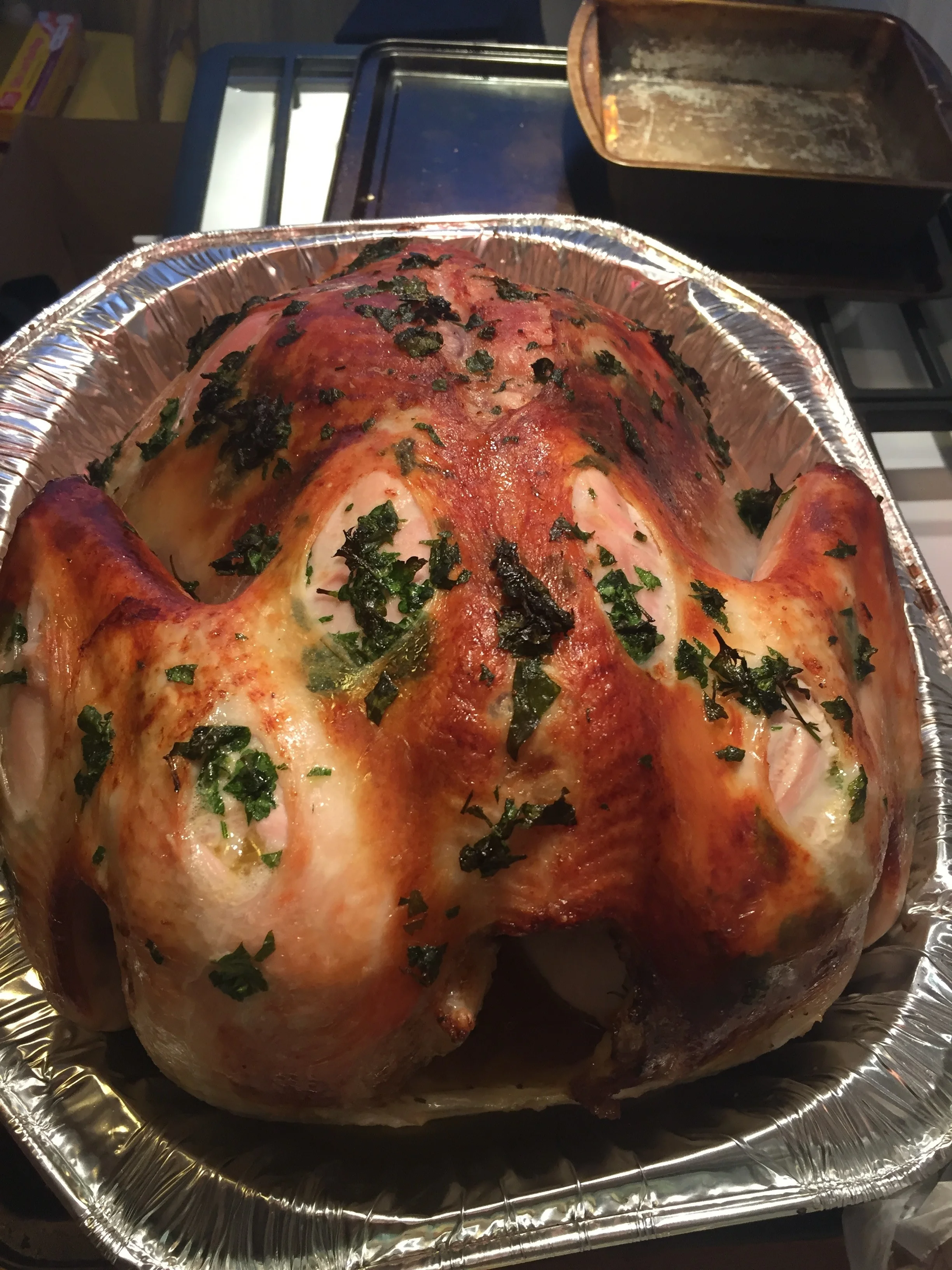 My Turkey Cooking Adventure: Learning How to Cook a Bird