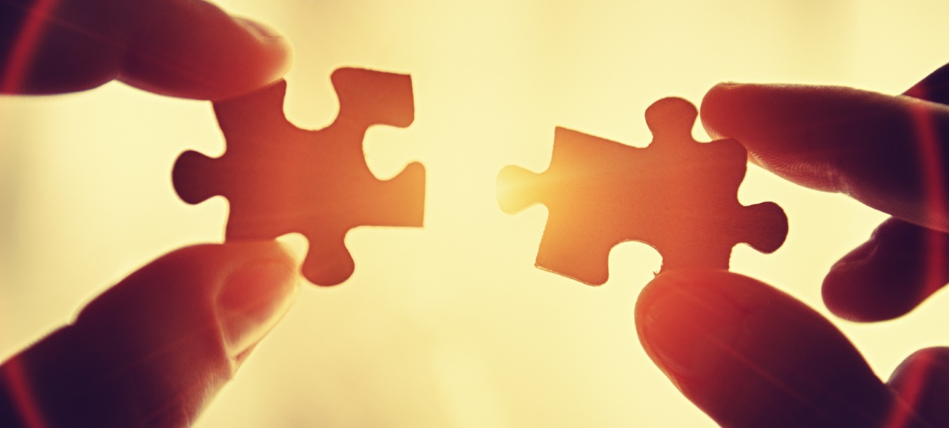 WIMH Partners banner.jpg
