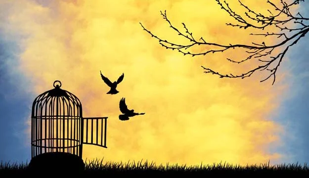 Great Expectations: Set Yourself Free