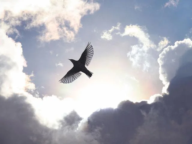 Living in the Moment: Spreading My Wings